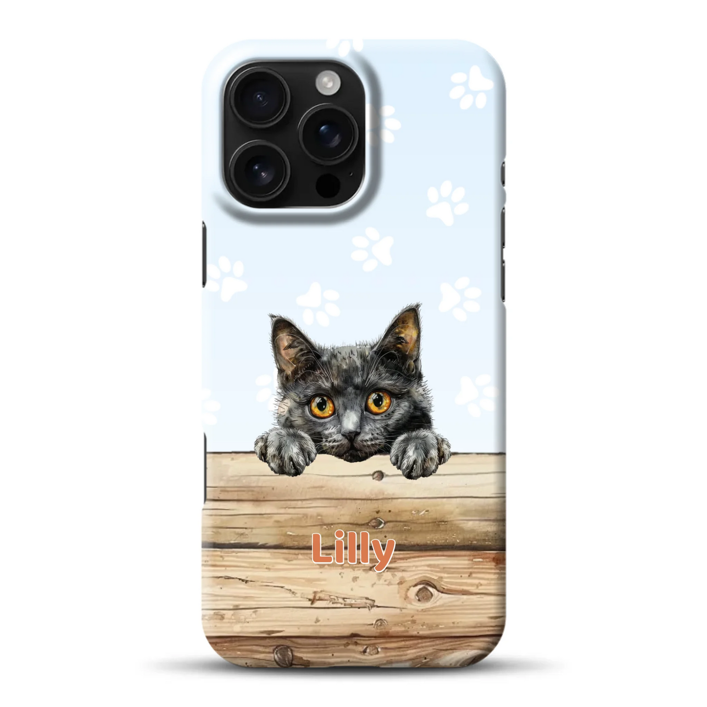 hardcase_0005_16-pro-ax-mockup.png