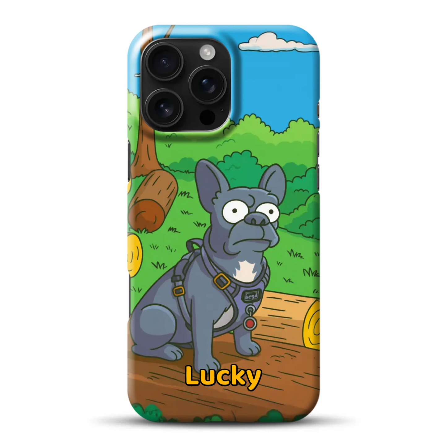 hardcase_0005_16-pro-ax-mockup.png