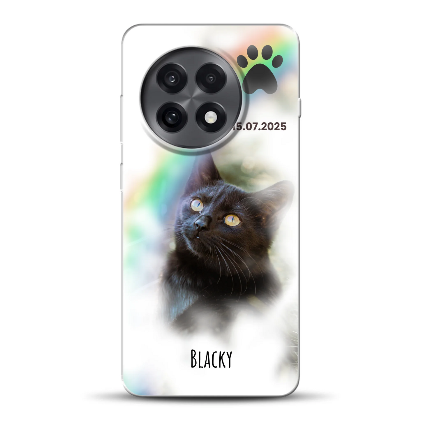 rv_0003_oneplus-13r-mockup.png