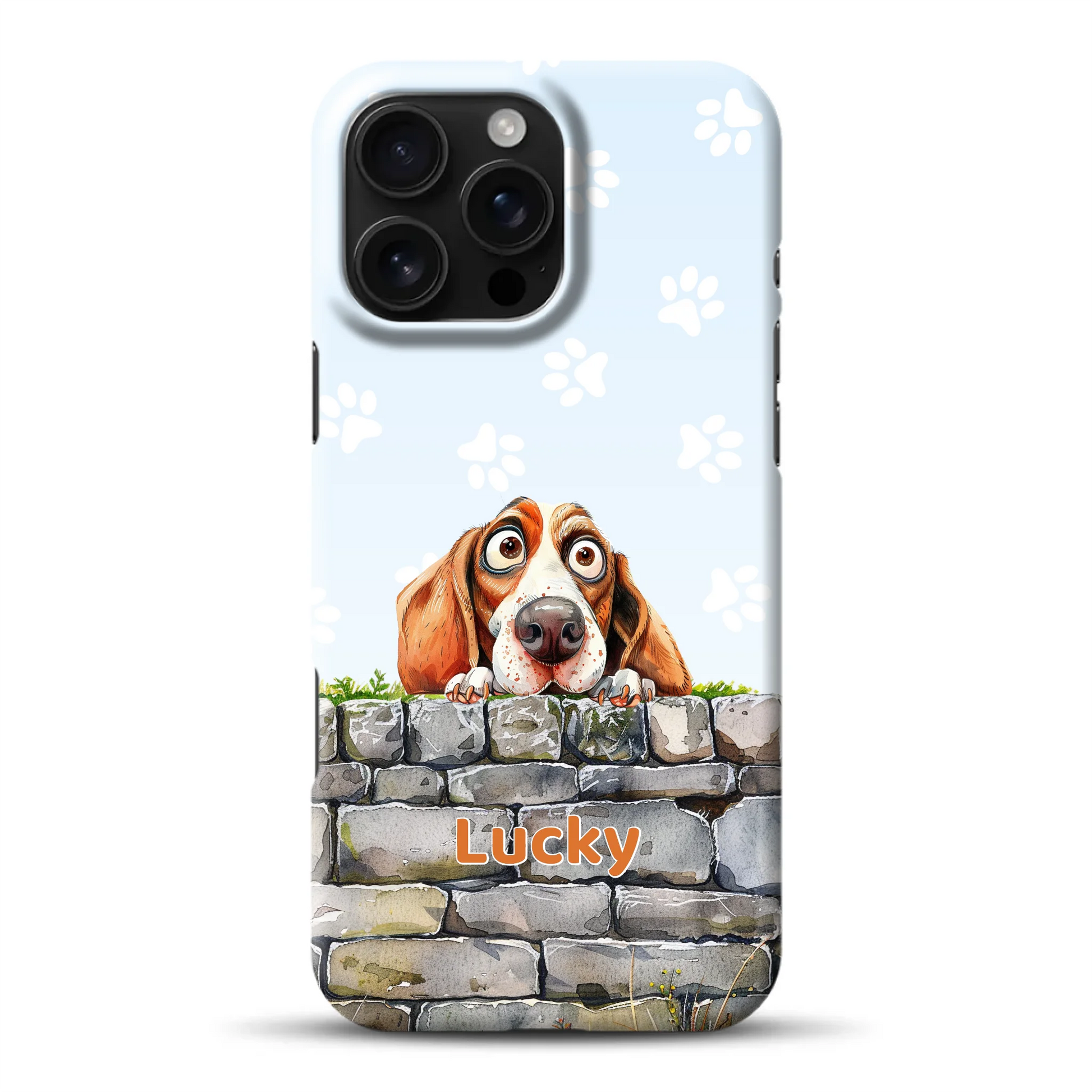 hardcase_0005_16-pro-ax-mockup.png