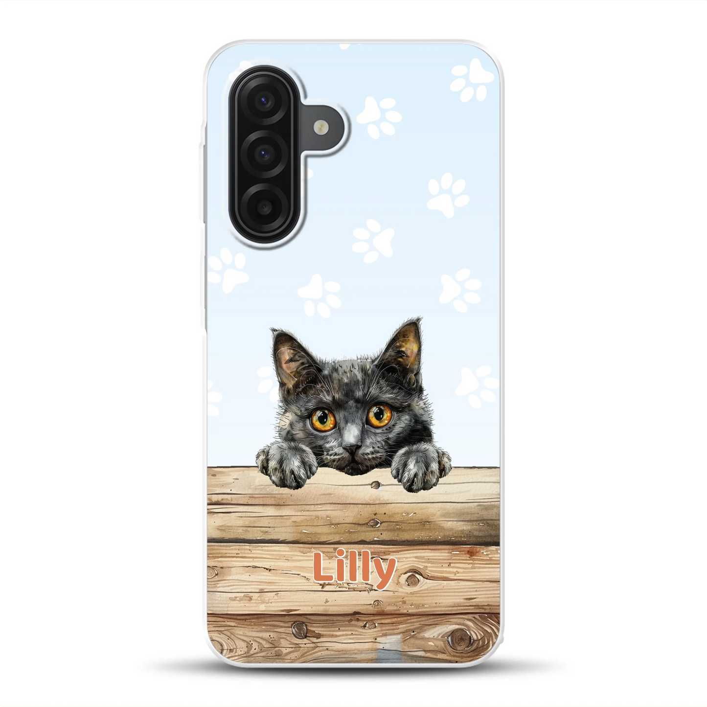 rv_0001_a17mockup.png
