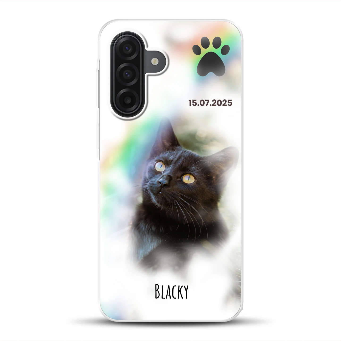 rv_0001_a17mockup.png