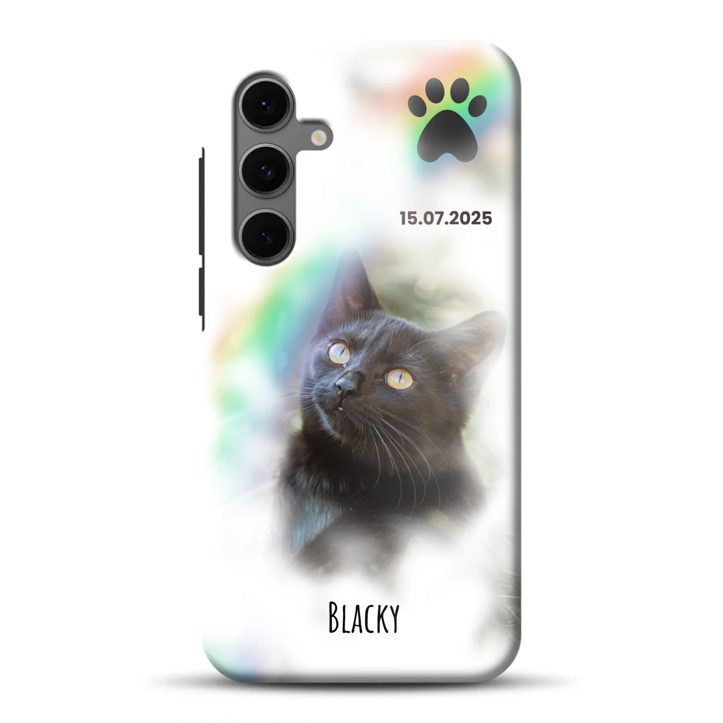 rv_s24femockup.png