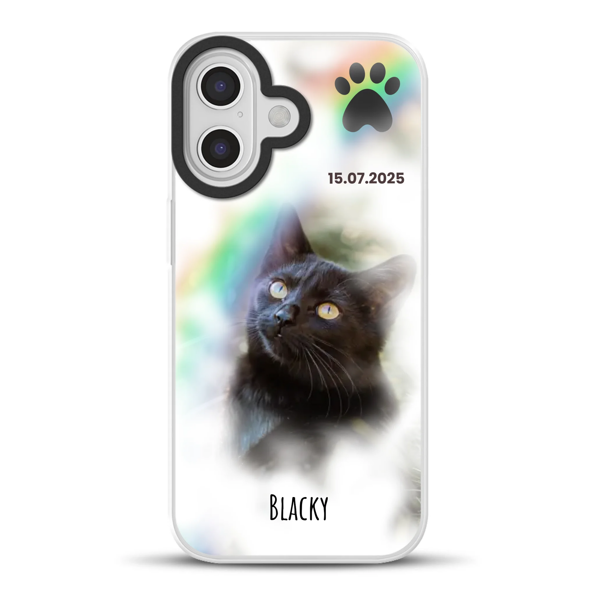 17hybridmockup.png