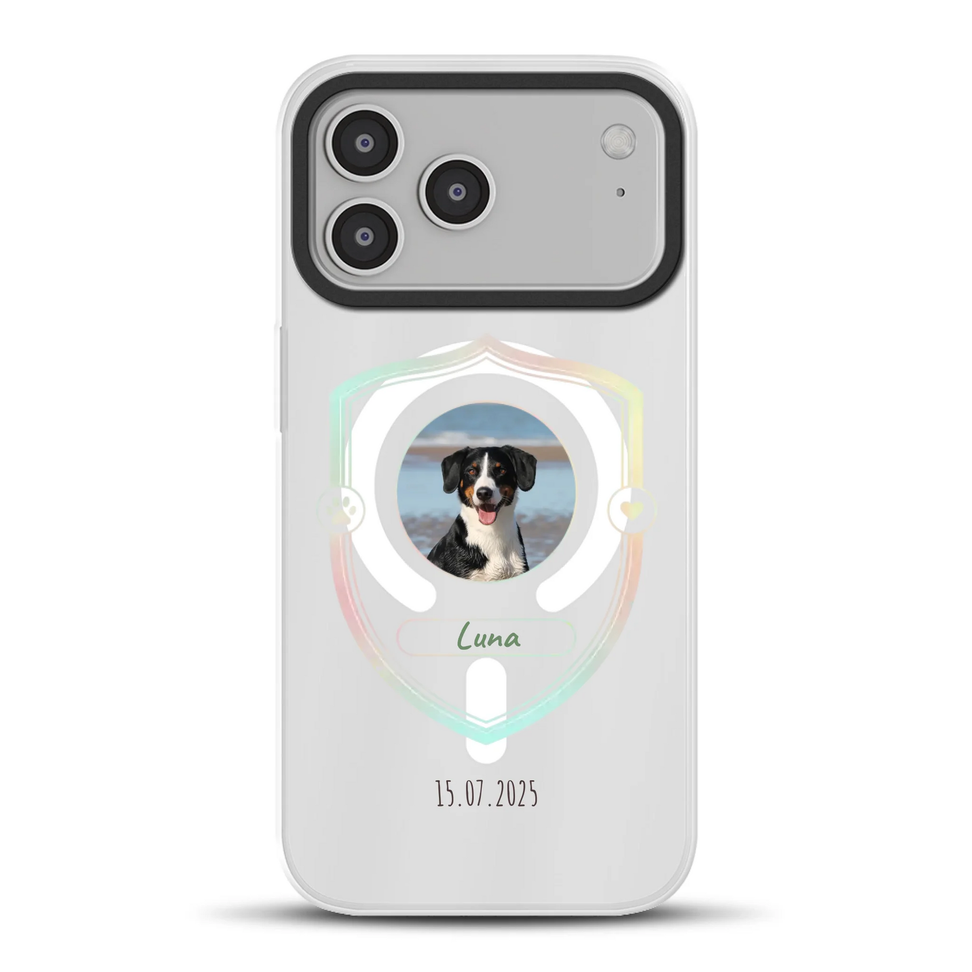 17promaxhybridmockup.png
