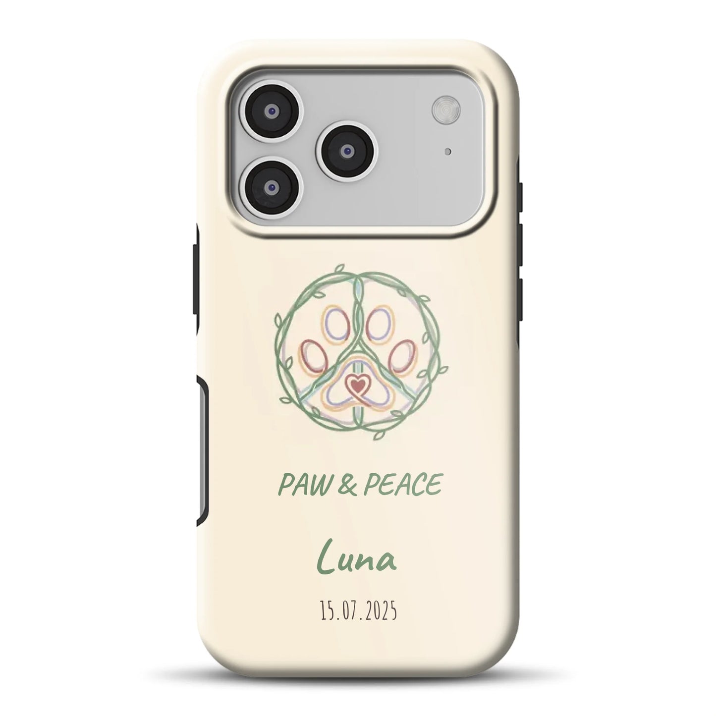17promagsafemockup.png