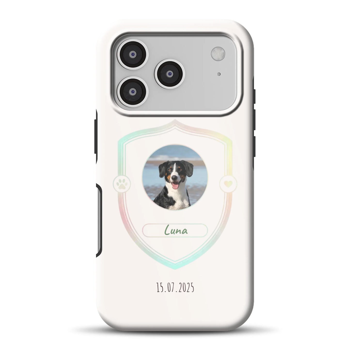 17promagsafemockup.png