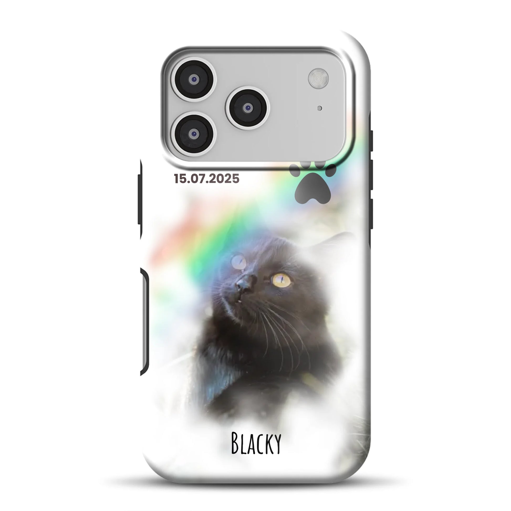 17promagsafemockup.png