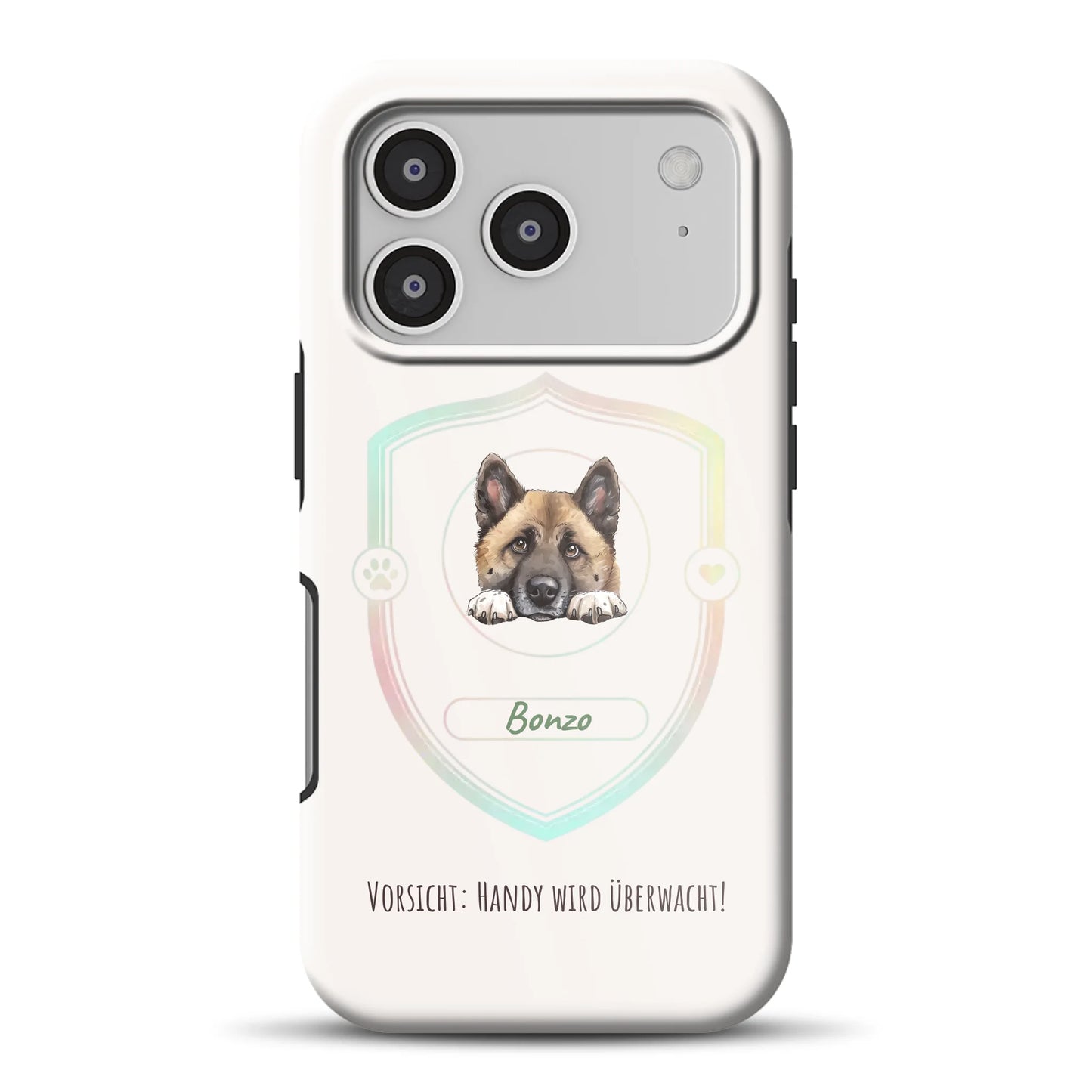 17promagsafemockup.png
