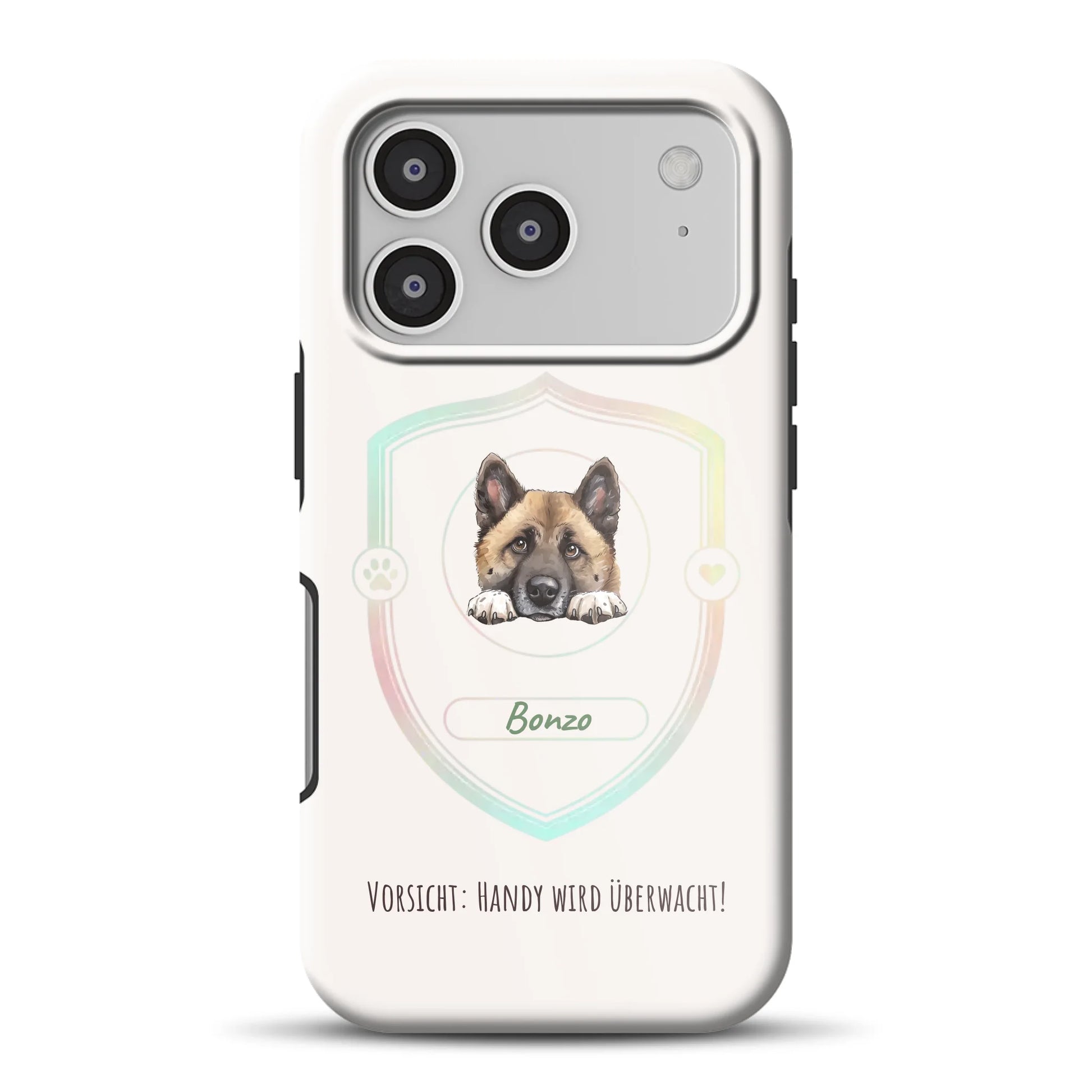 17promagsafemockup.png
