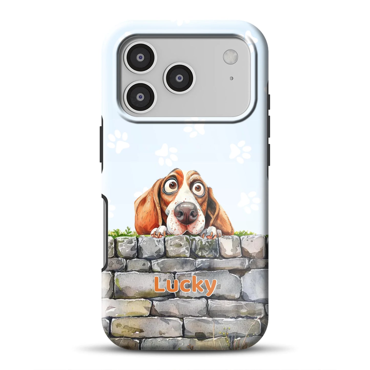 17promagsafemockup.png