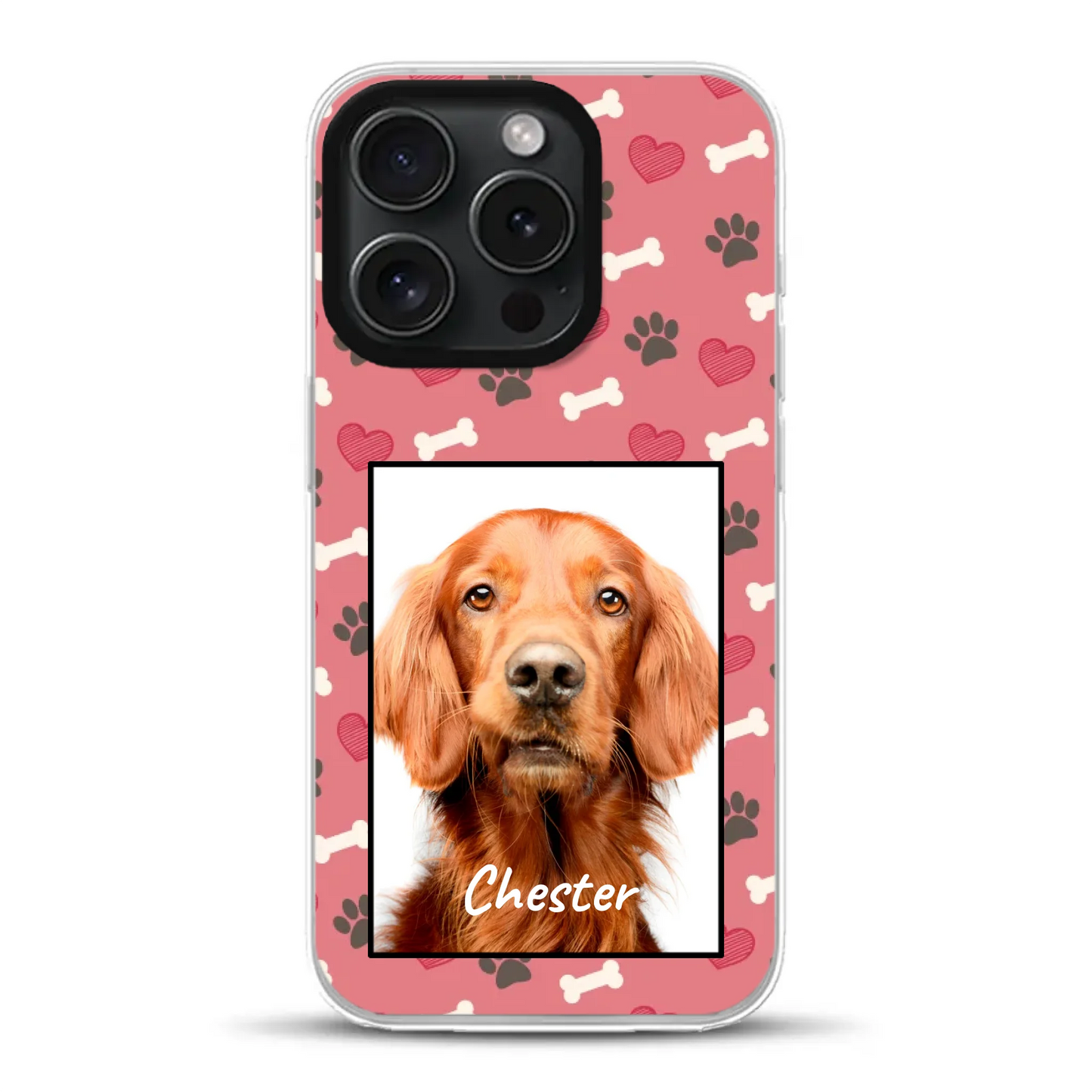 Paw Traits - Individuelle Hybrid Hülle mit MagSafe