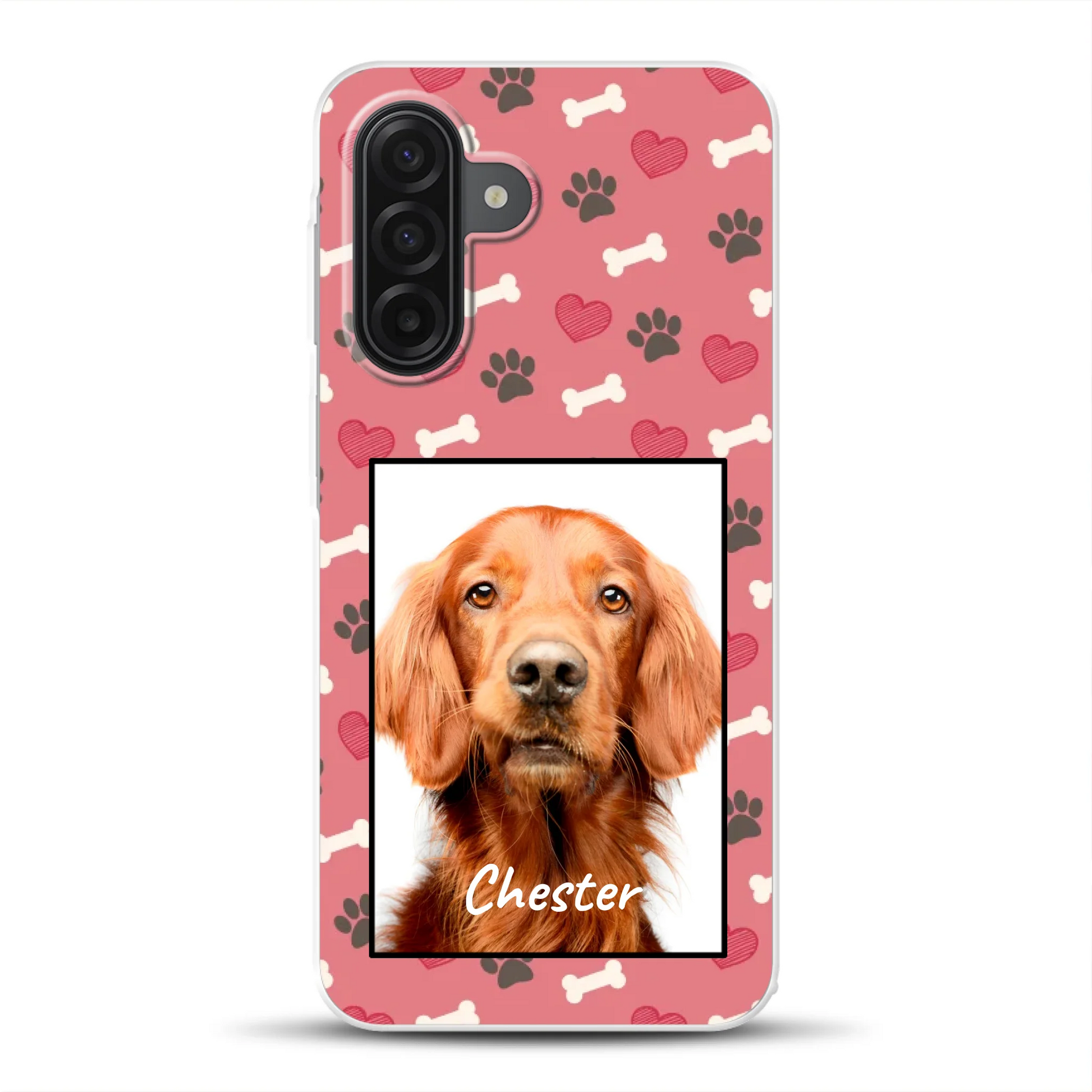 rv_0001_a17mockup.png