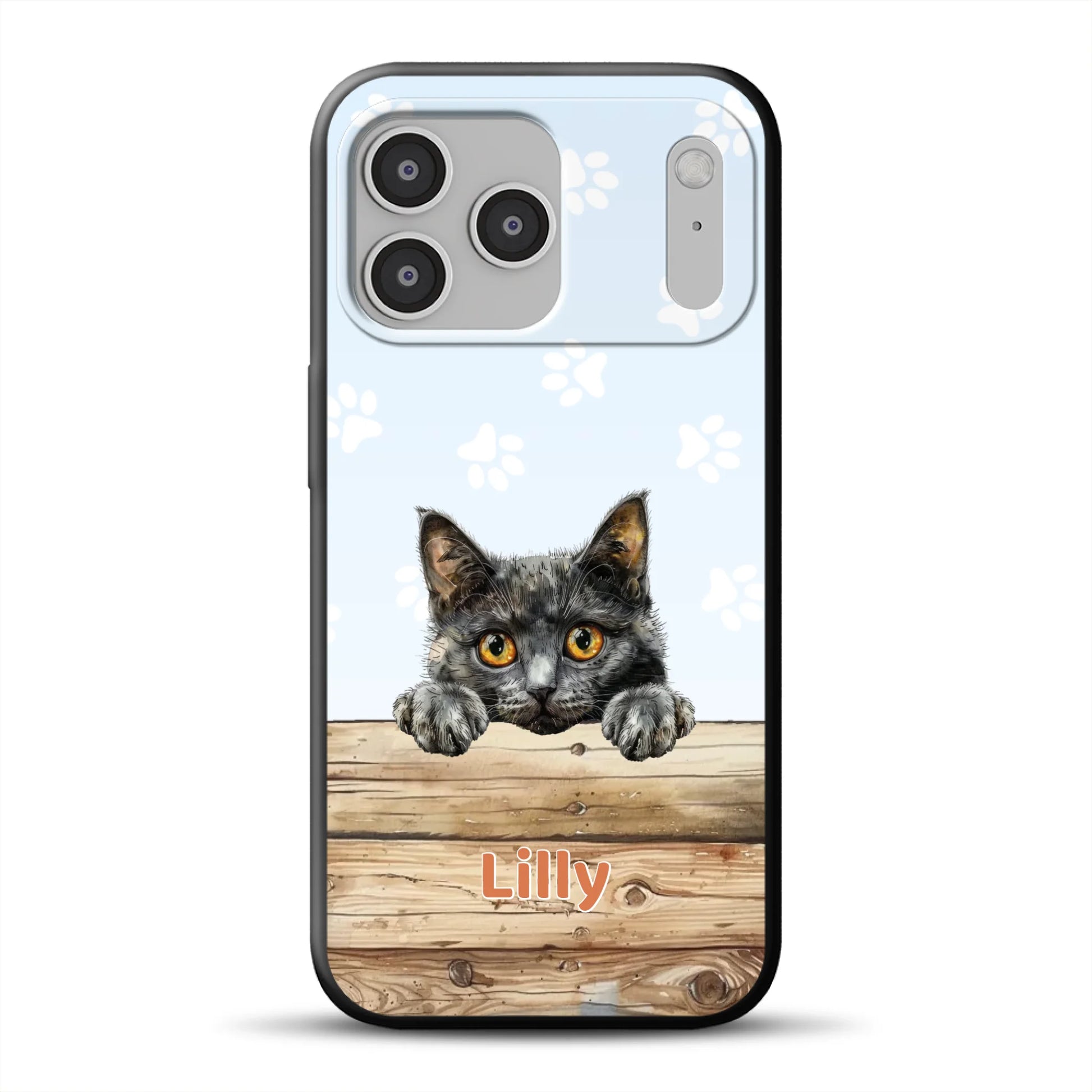17-pro-max-b-mockup.png