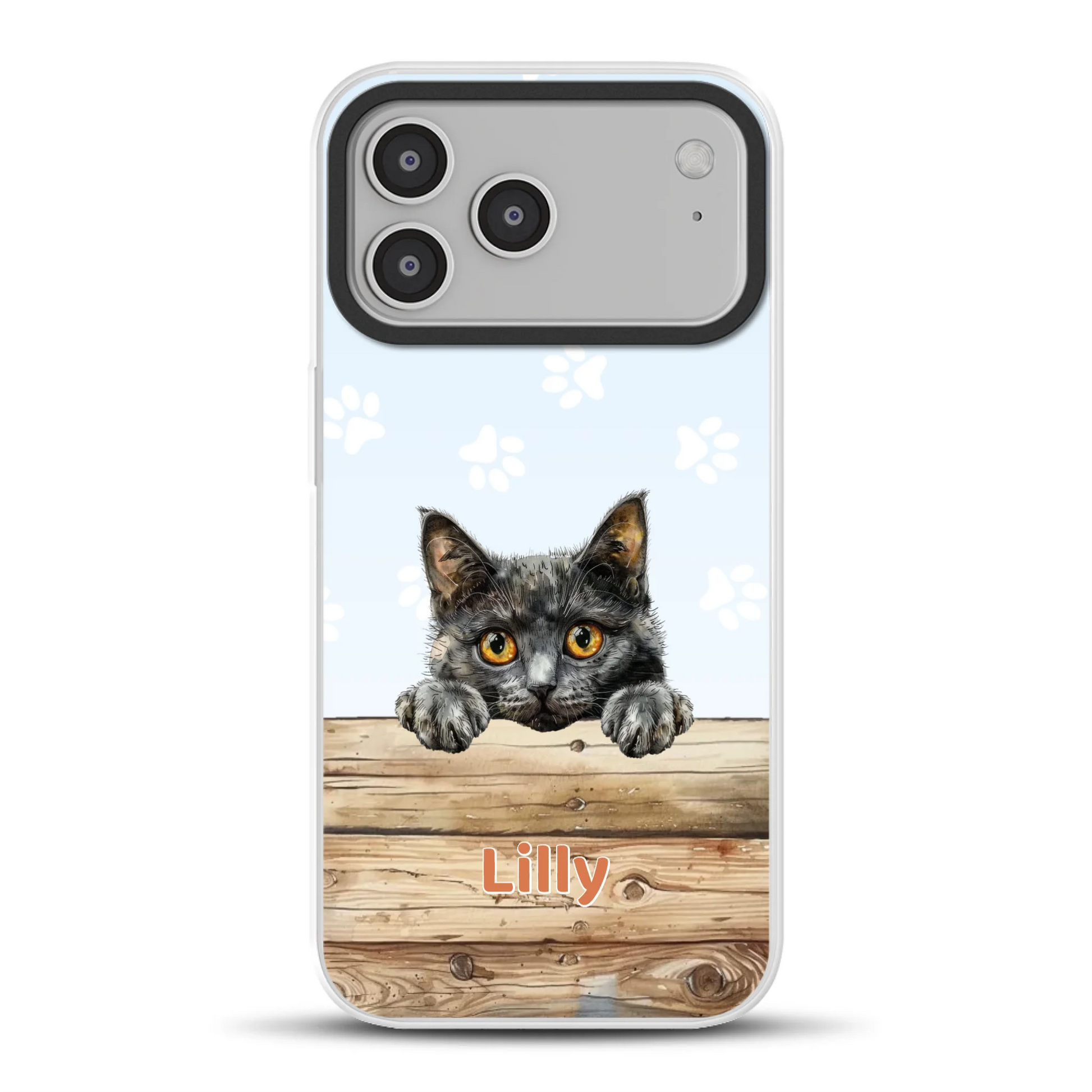 17promaxhybridmockup.png