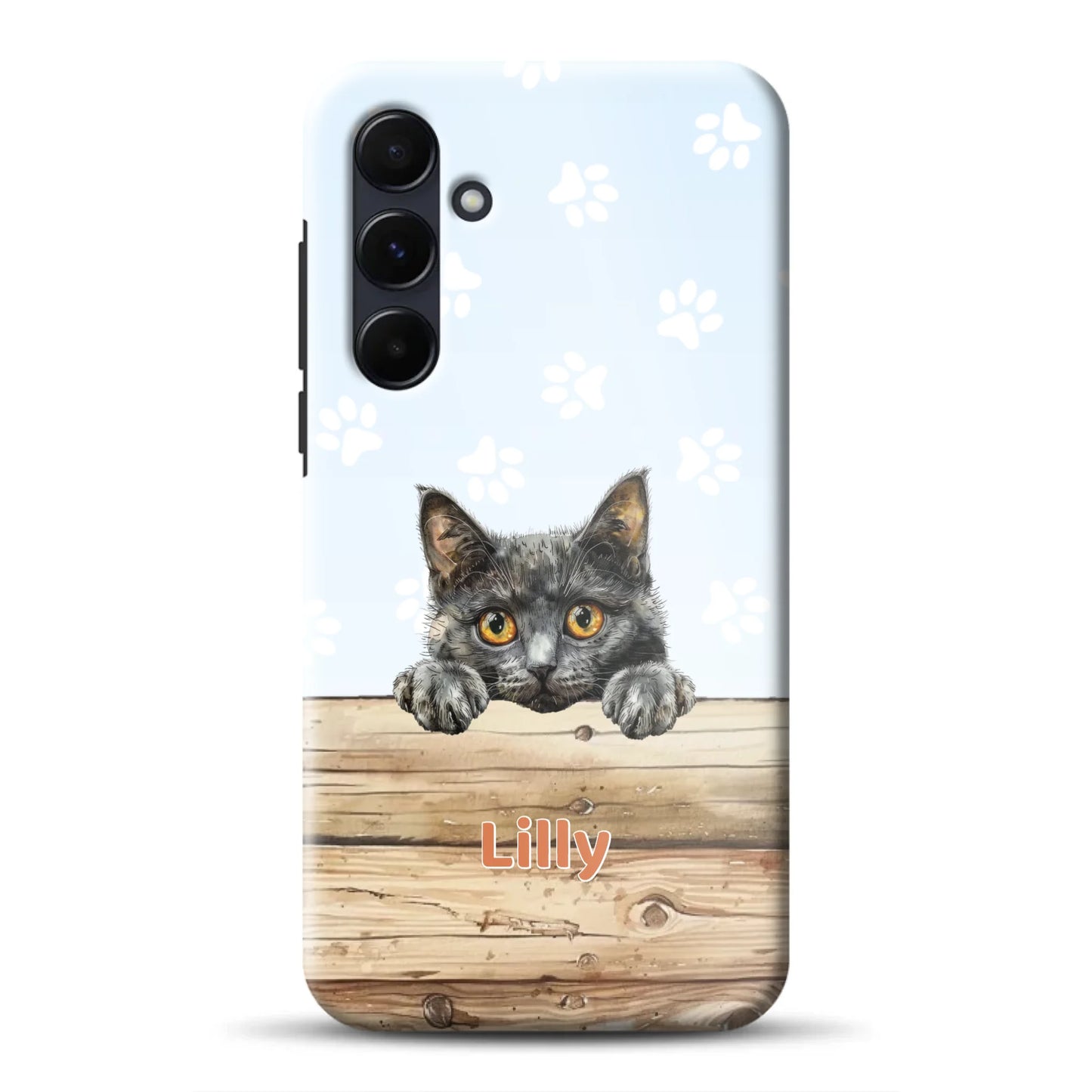 rv_a55mockup.png