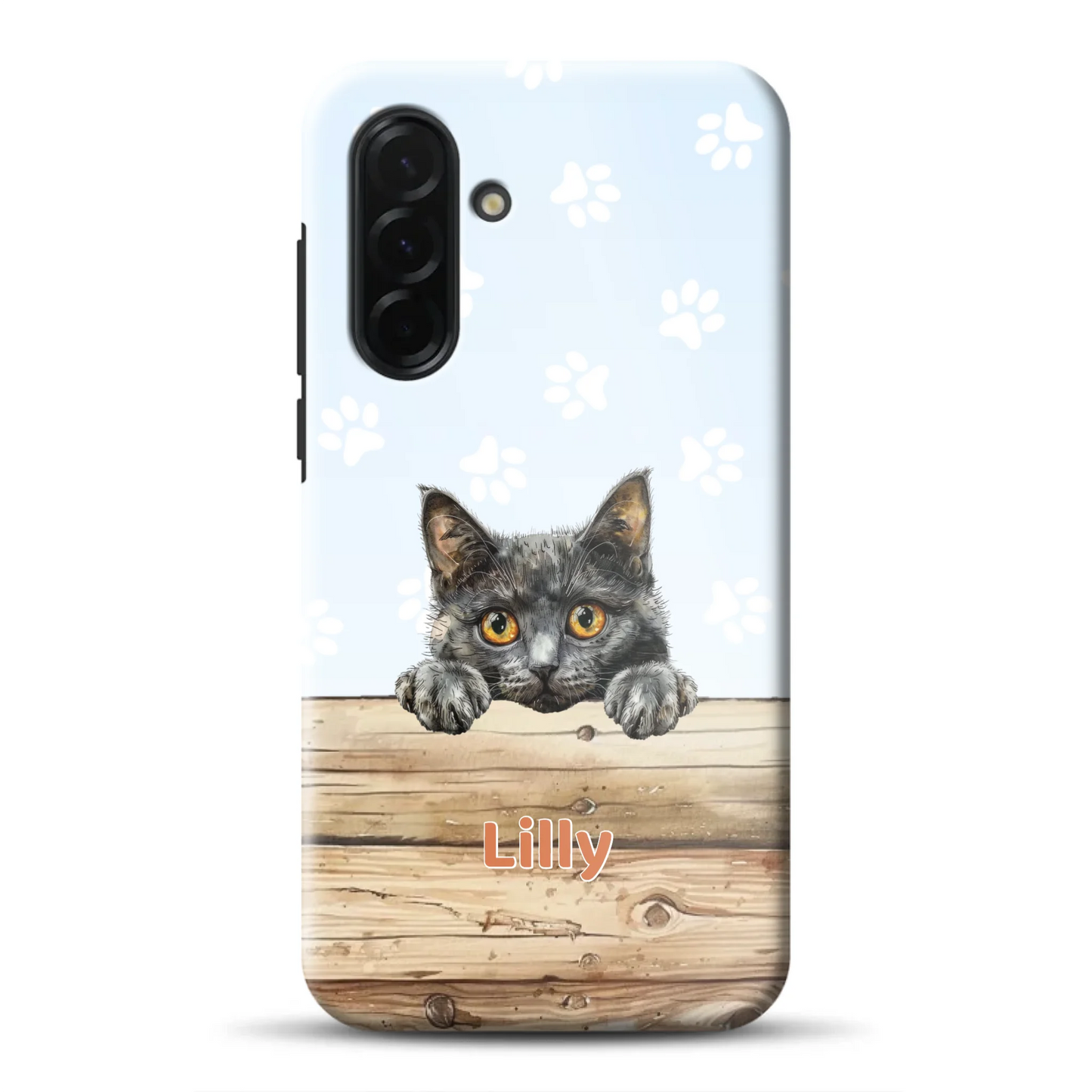 rv_a36a56mockup.png