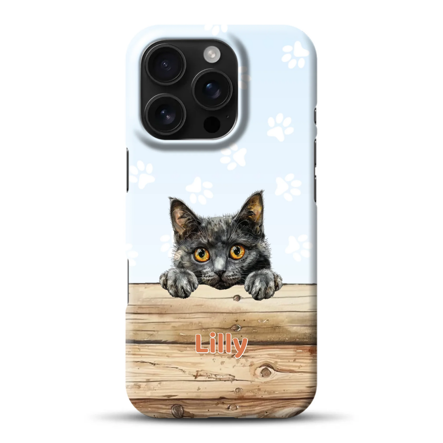 hardcase_0004_16-pro-mockup.png
