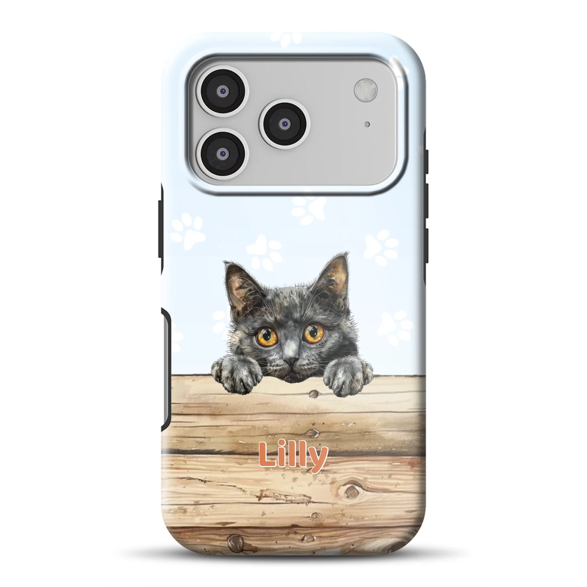 17promagsafemockup.png