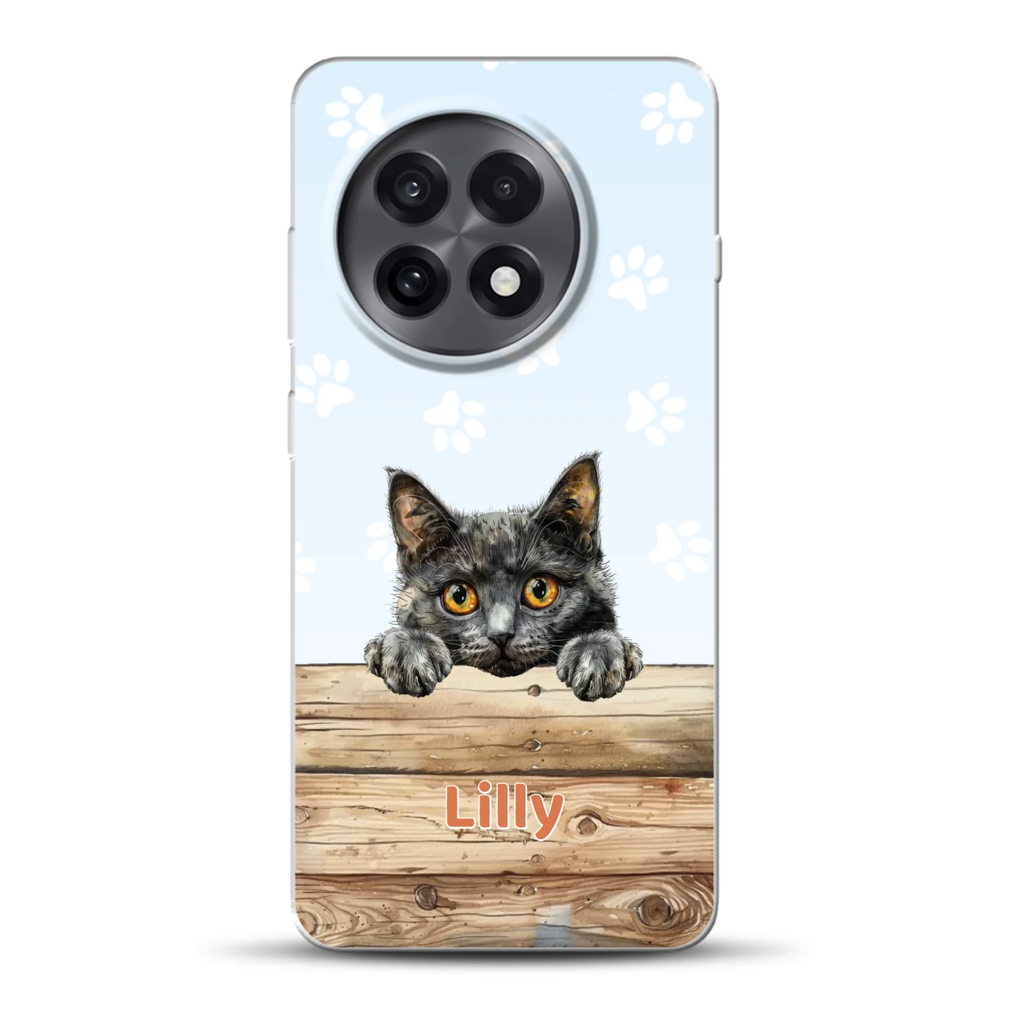 rv_0003_oneplus-13r-mockup.png