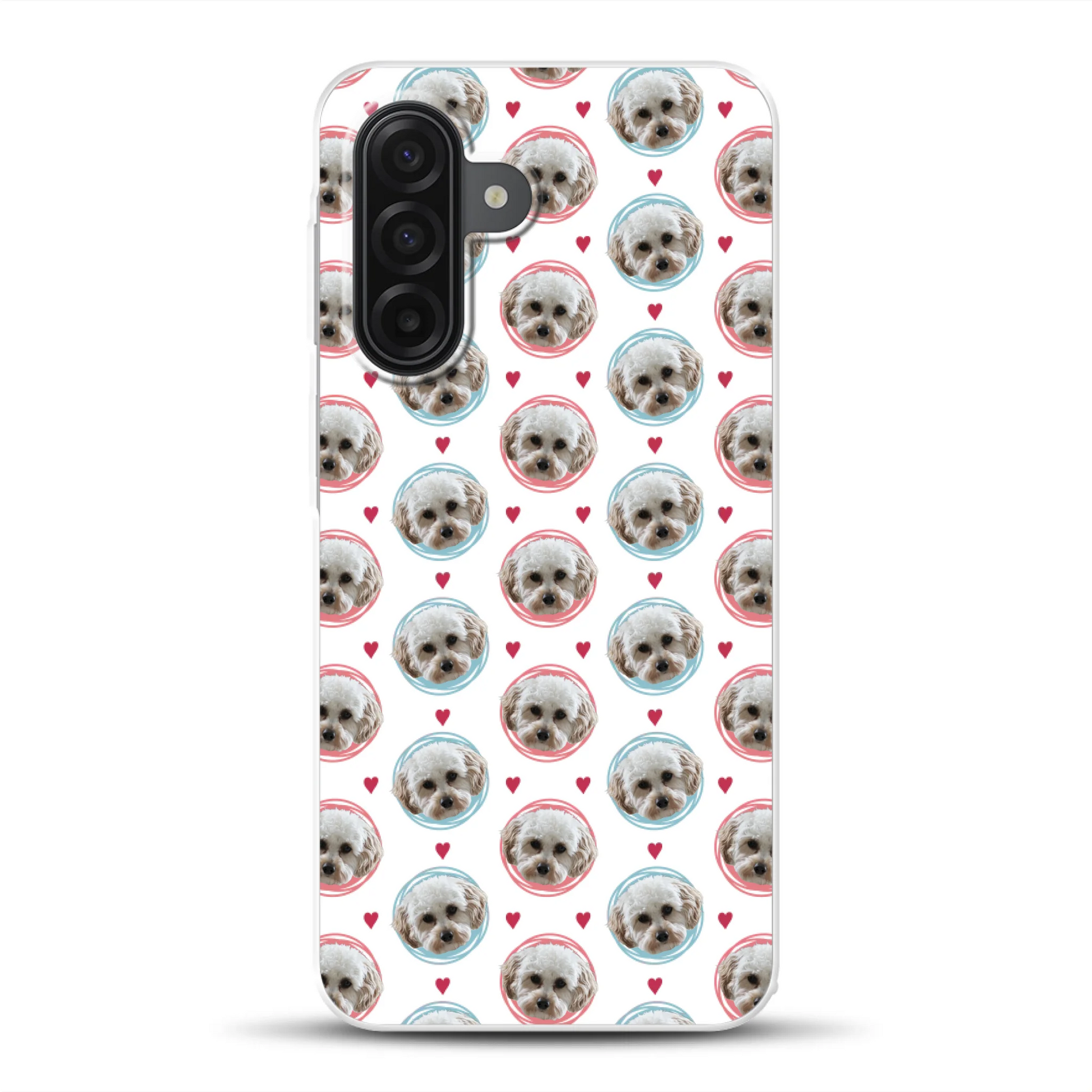 rv_0001_a17mockup.png