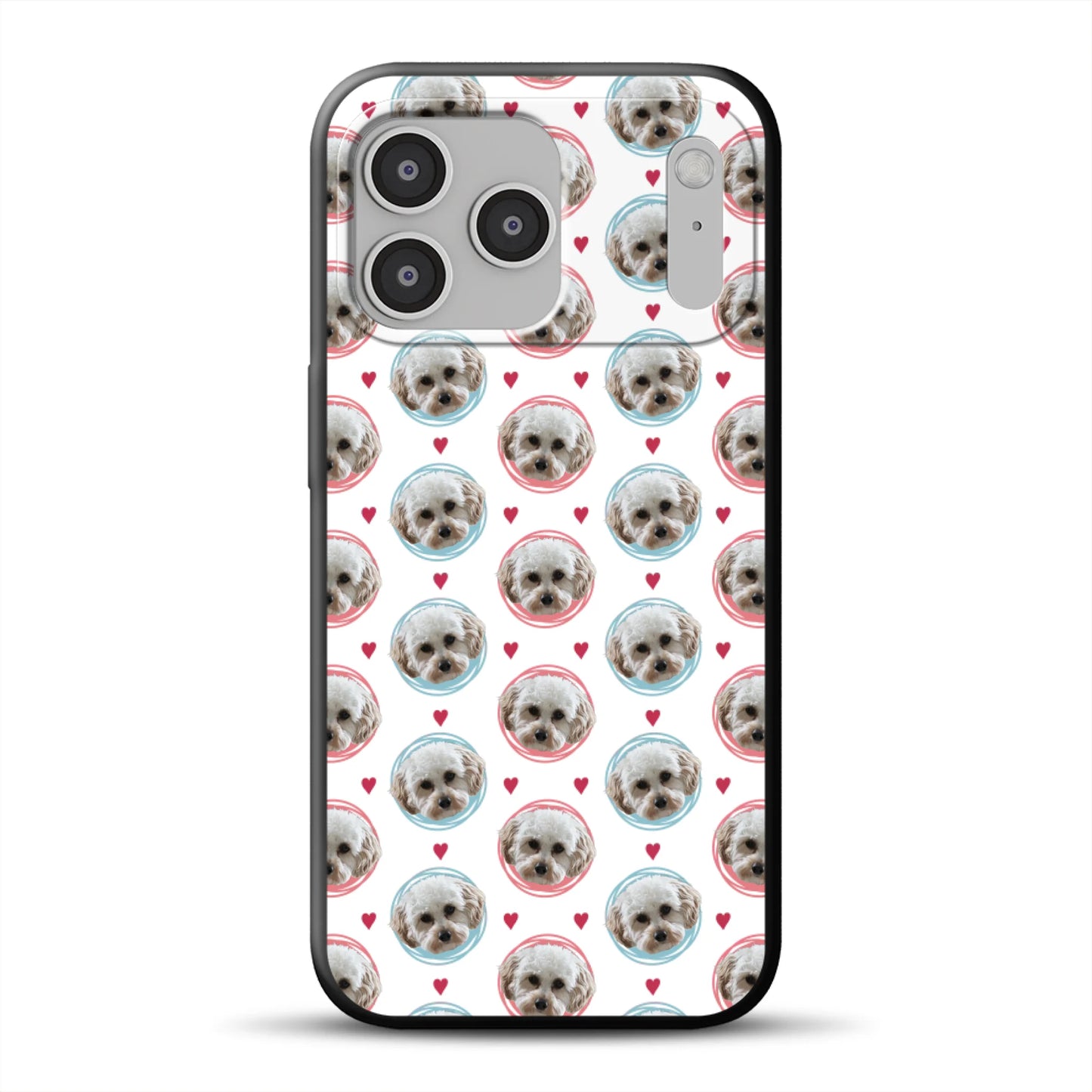 17-pro-max-b-mockup.png
