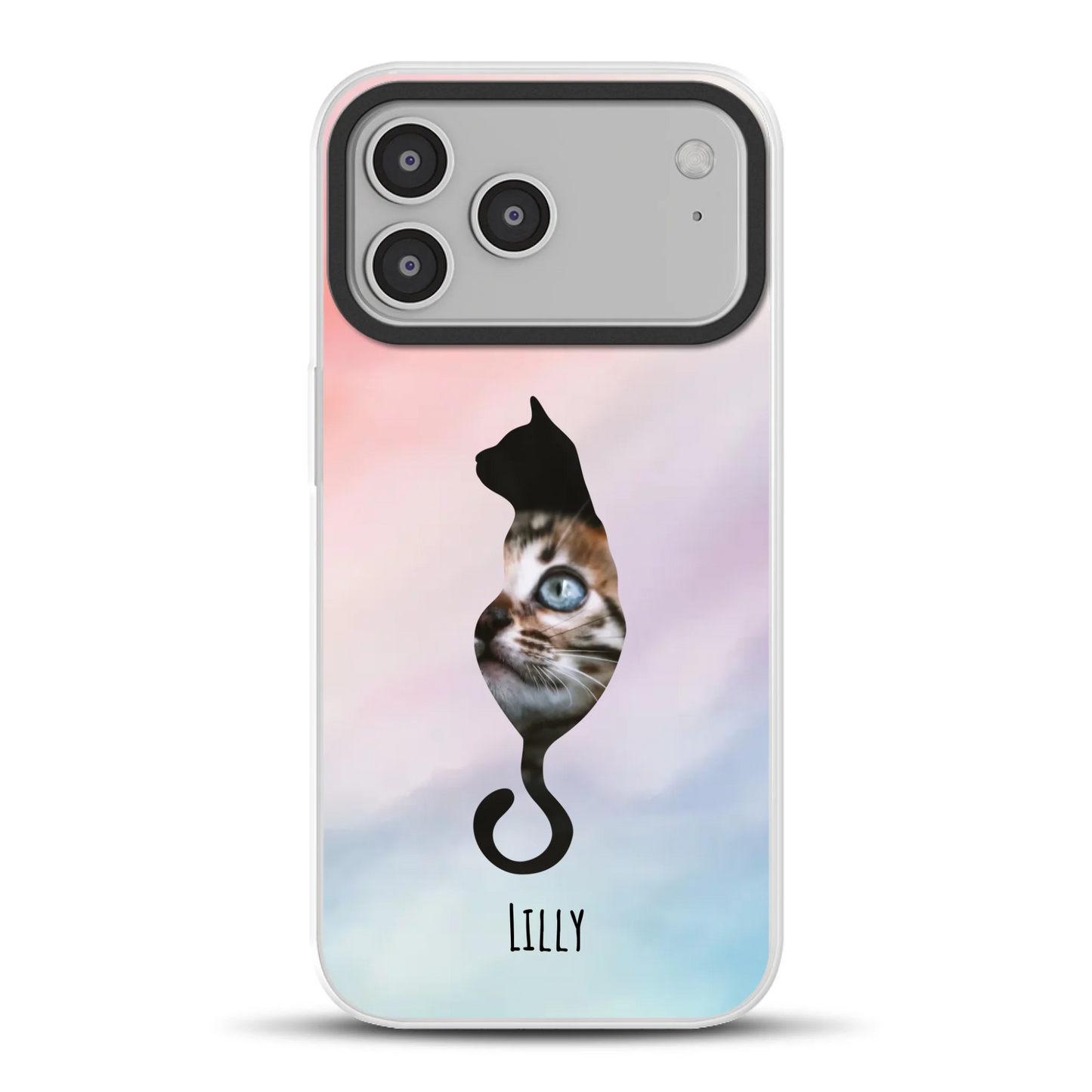 17promaxhybridmockup.png