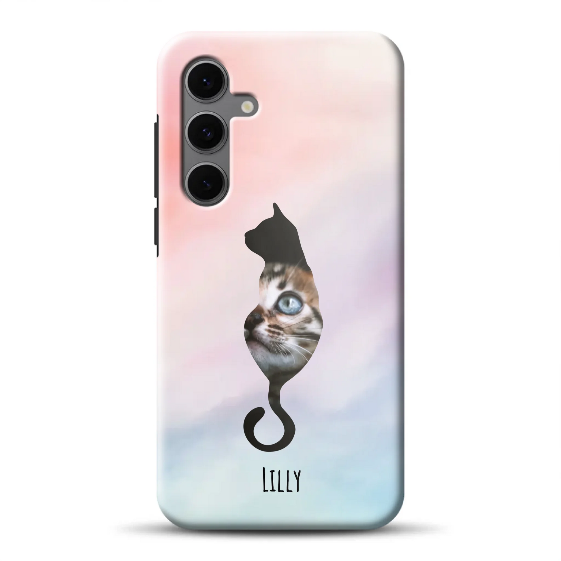 rv_s24femockup.png