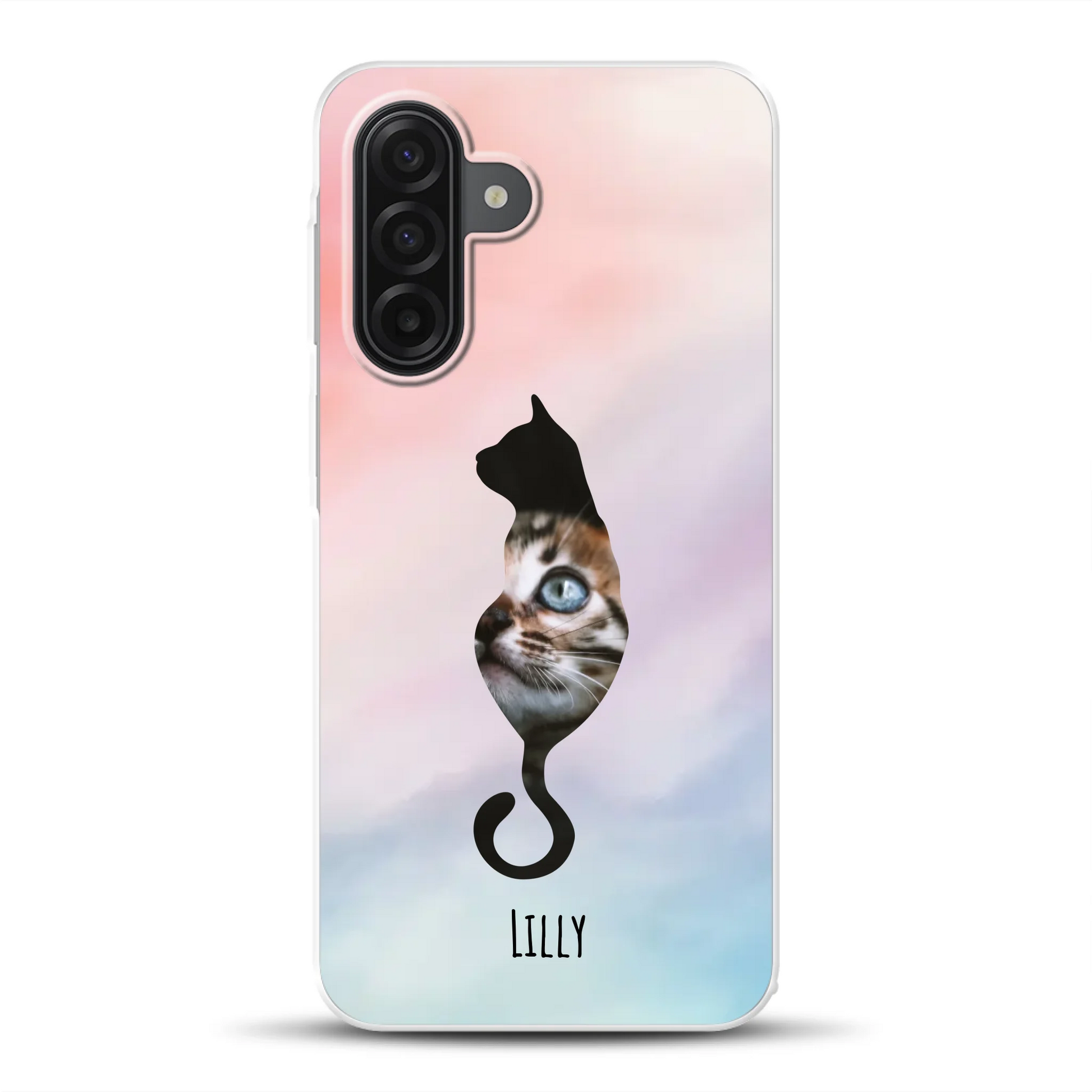 rv_0001_a17mockup.png