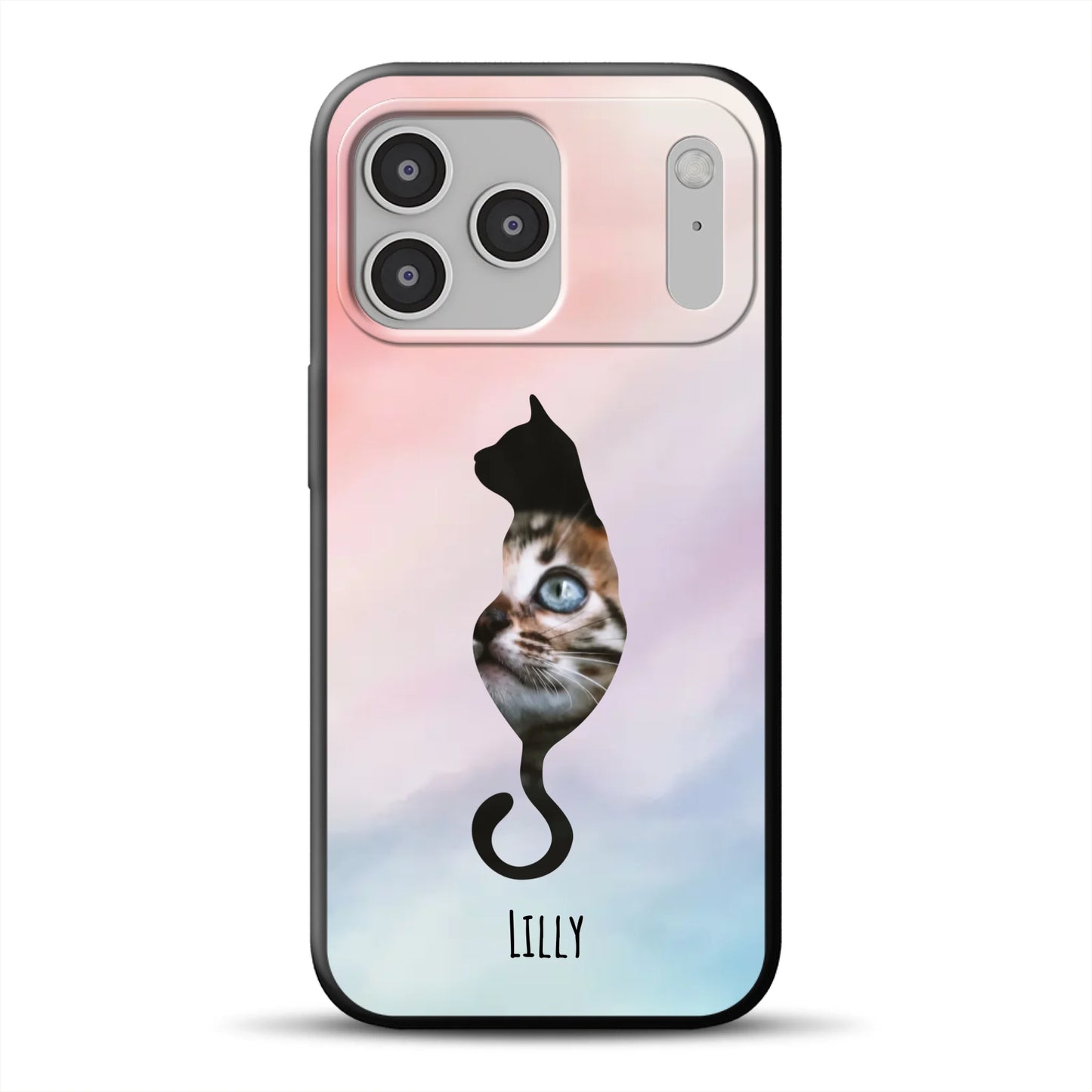 17-pro-max-b-mockup.png
