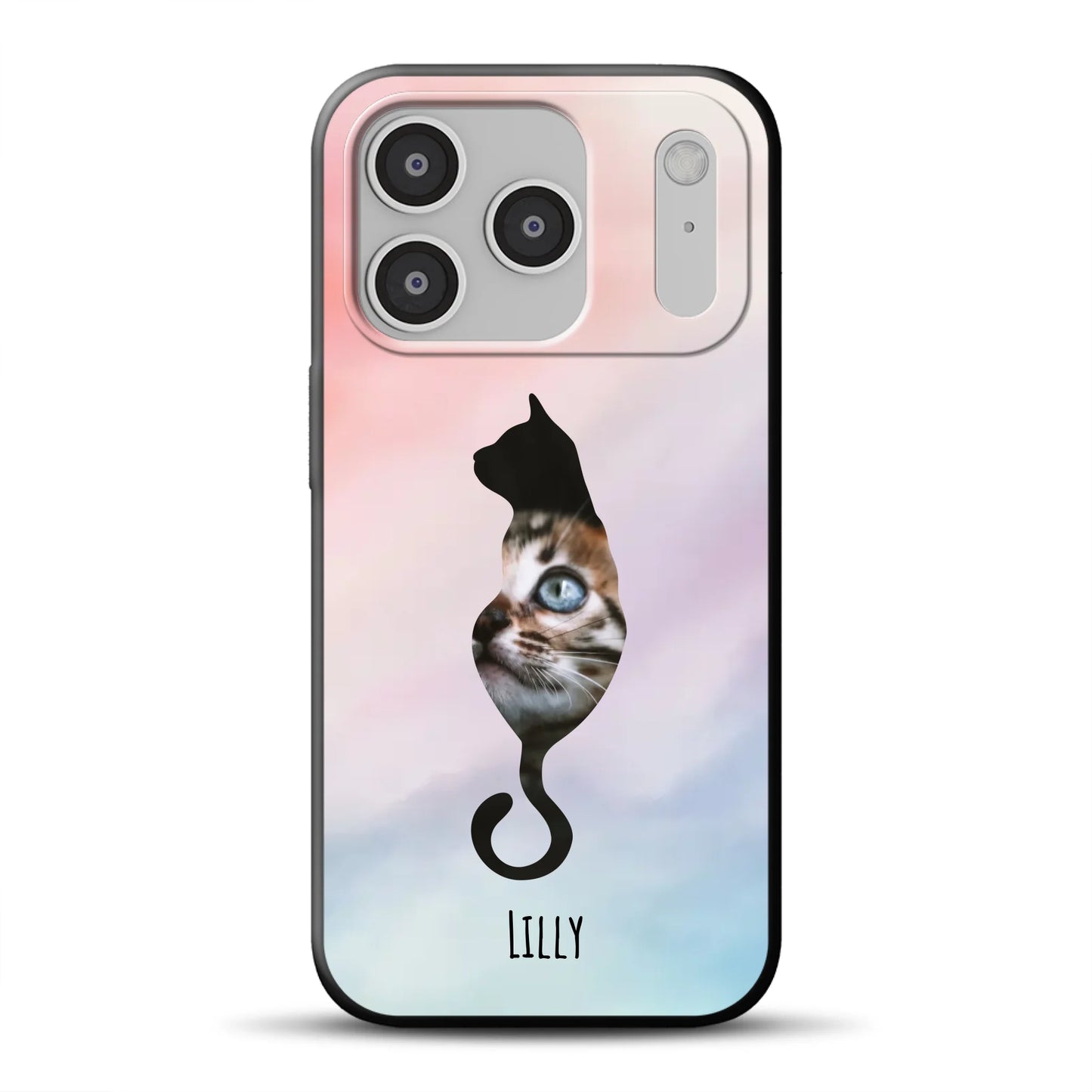 17-pro-b-mockup.png