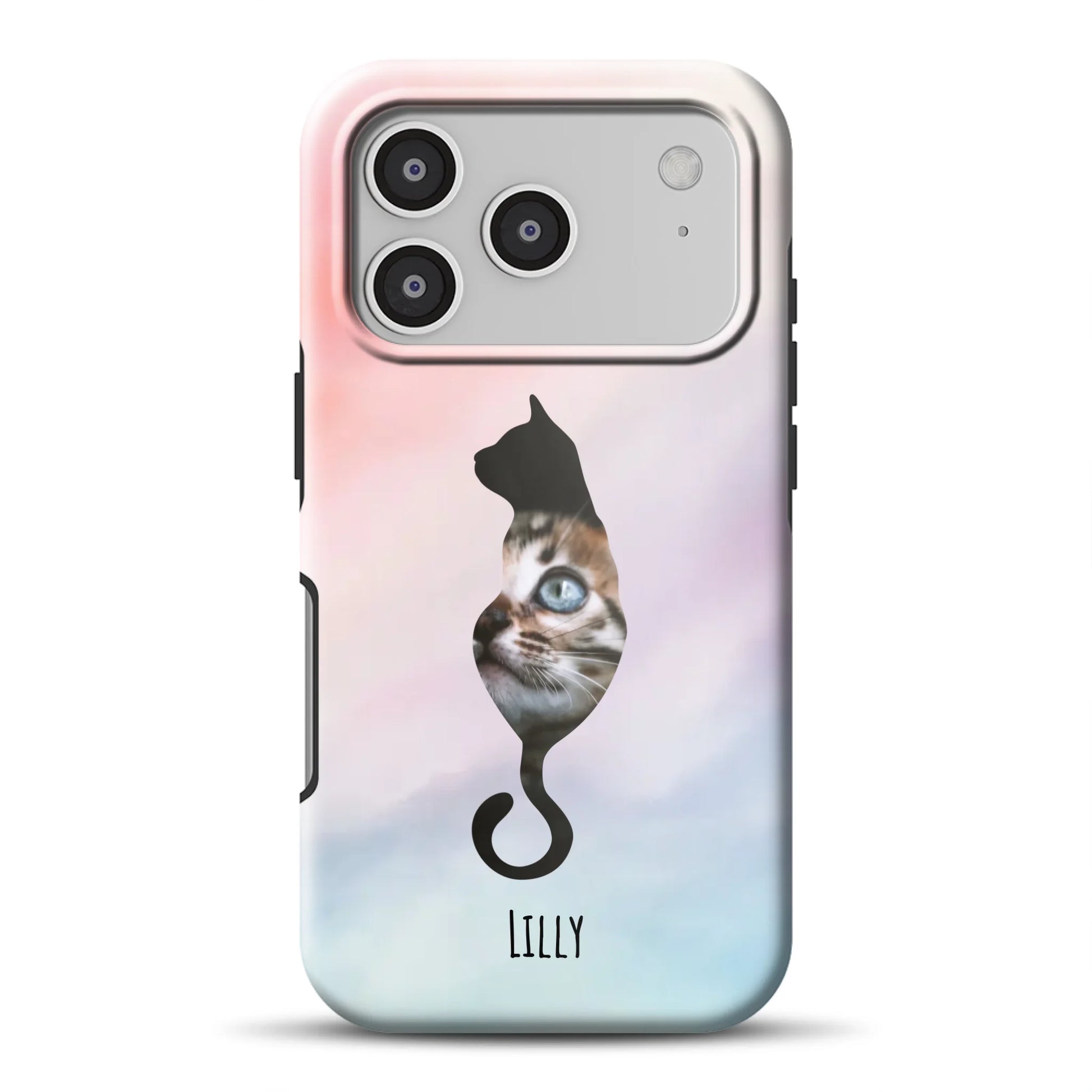 17promagsafemockup.png
