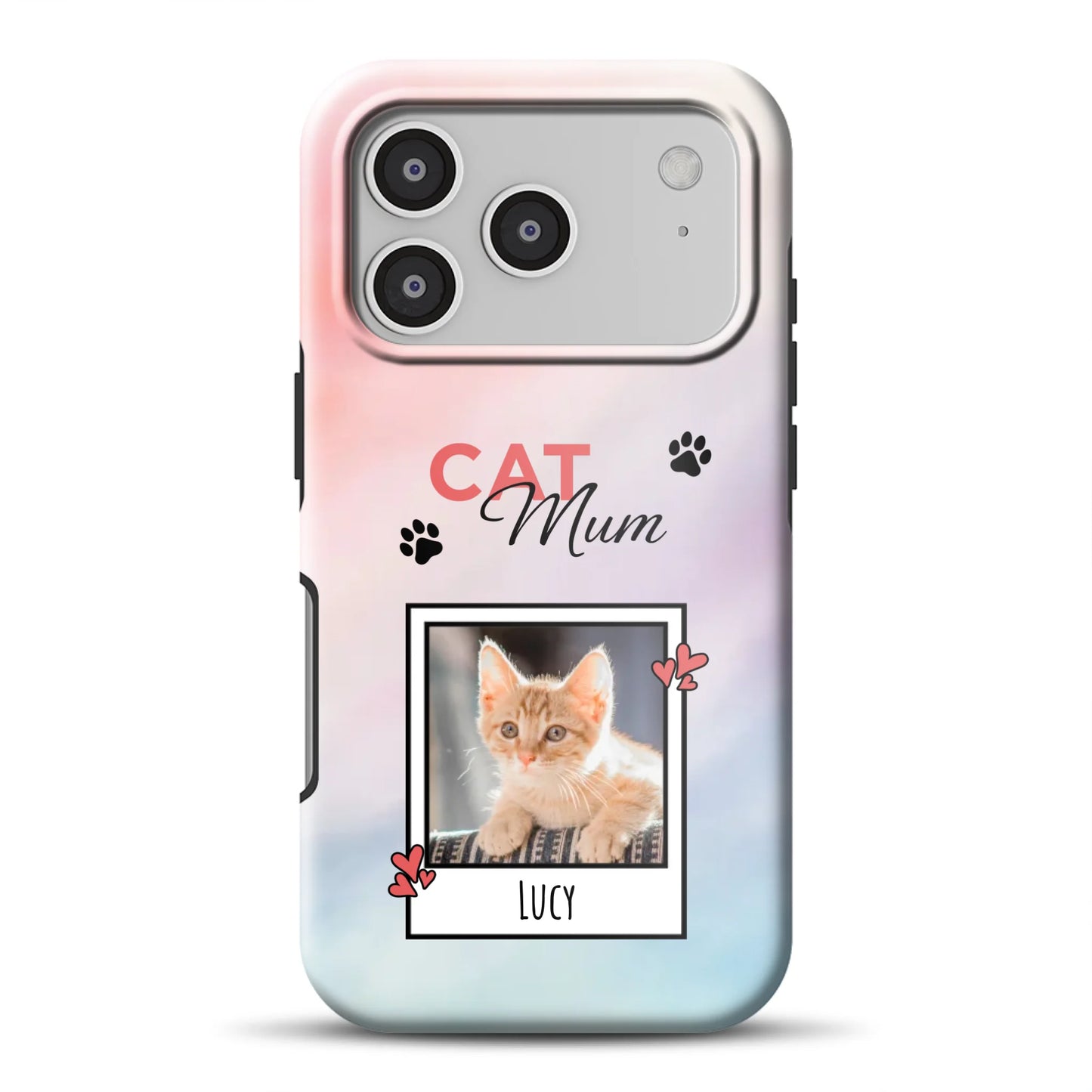 17promagsafemockup.png