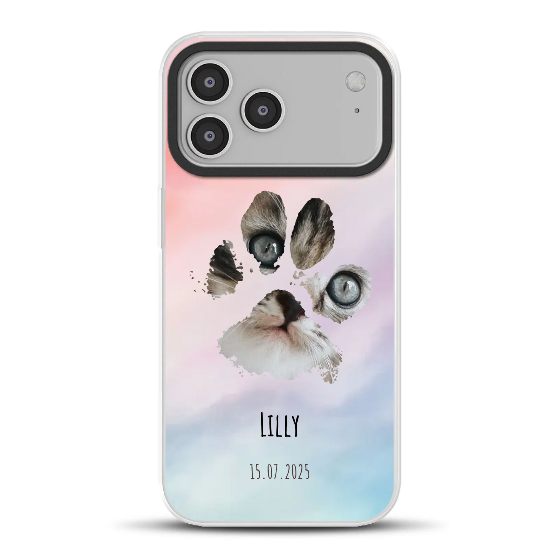 17promaxhybridmockup.png