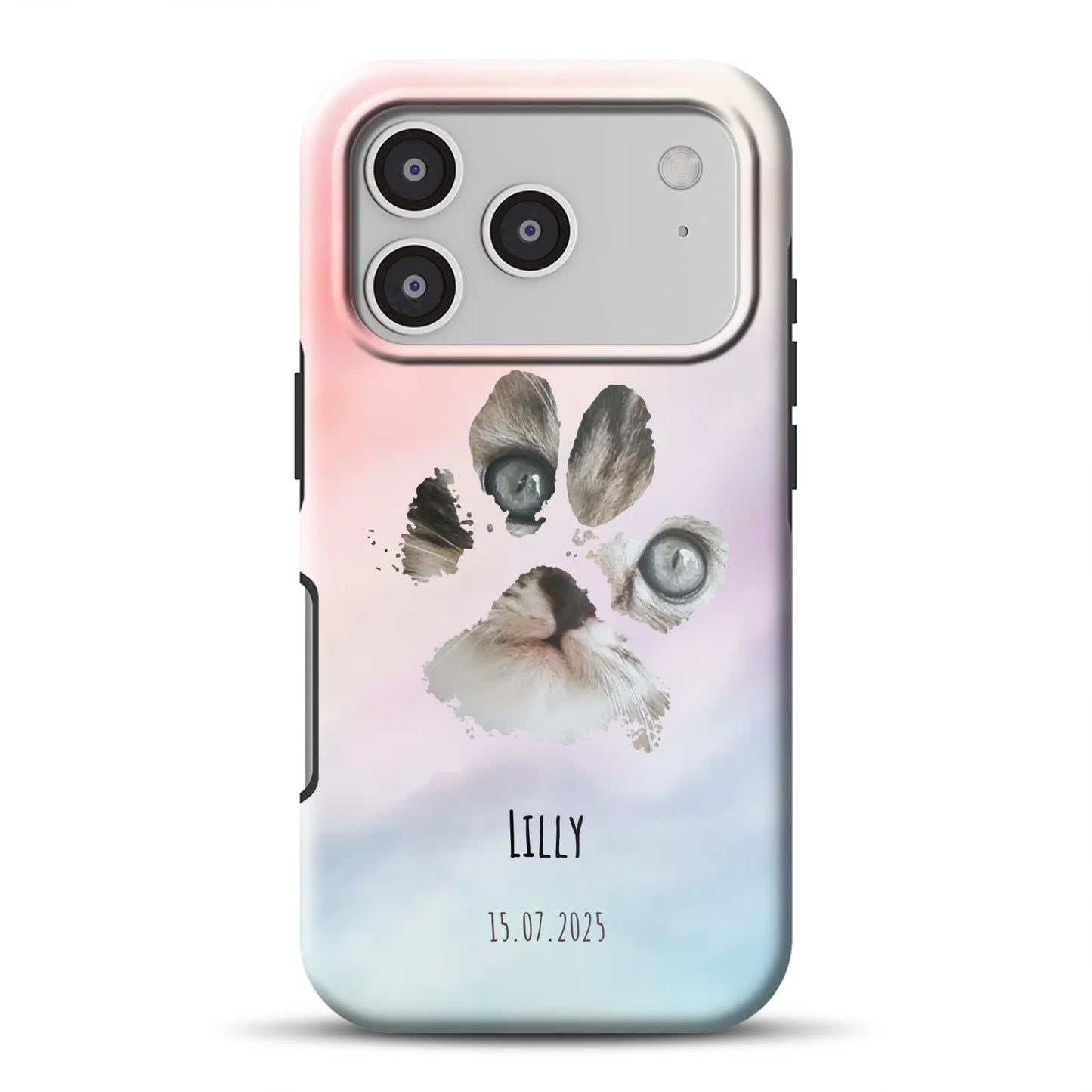 17promagsafemockup.png