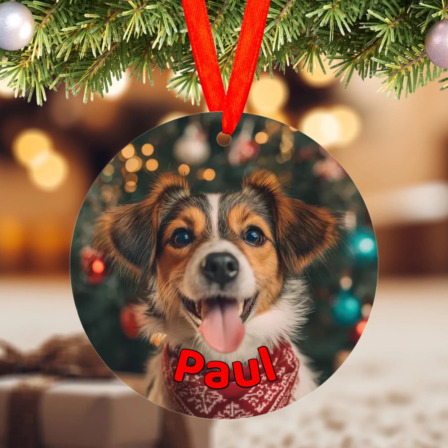 Pawtrait Love – Individueller Weihnachtsanhänger - Kreis mit Foto