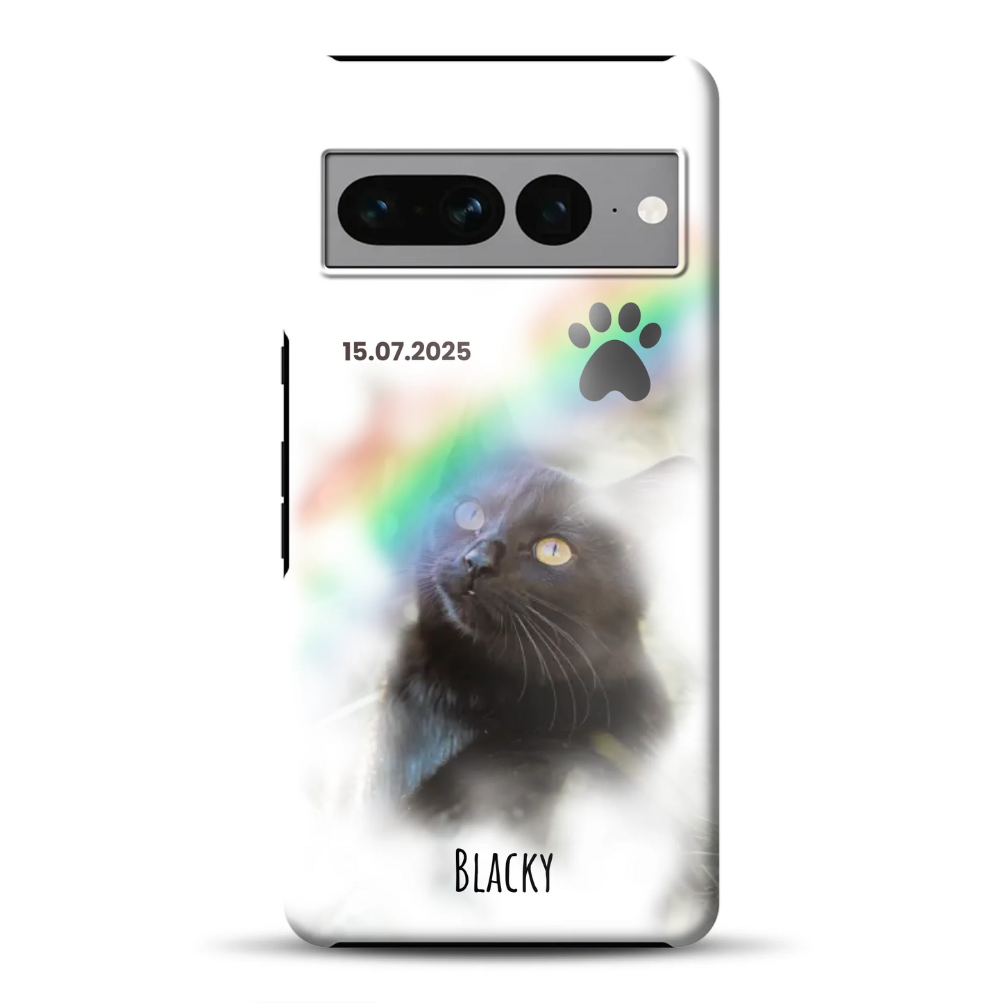 rv_0008_pixel7promockup.png