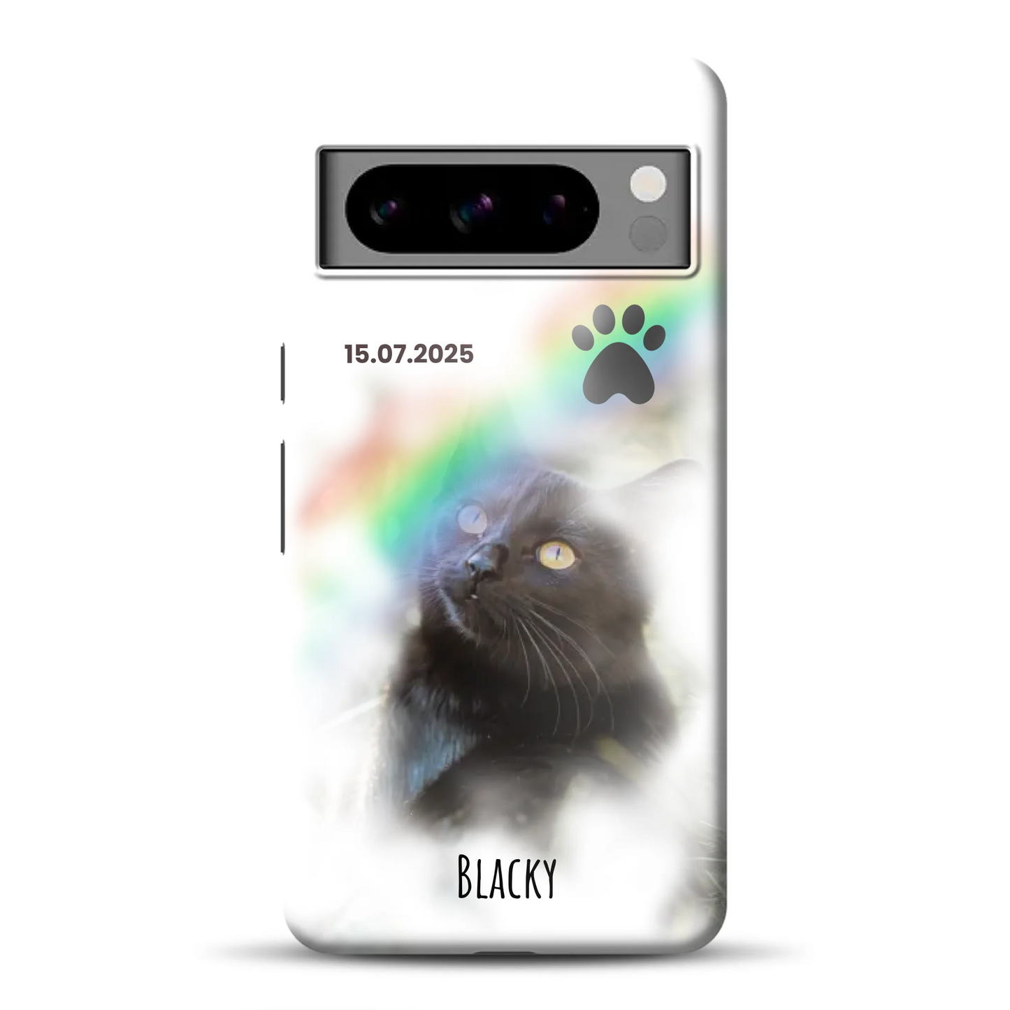 rv_0011_pixel8promockup.png