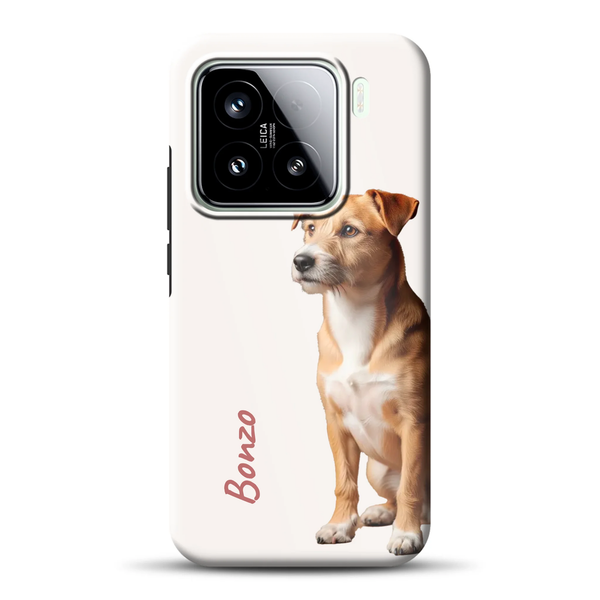 15-premium-mockup