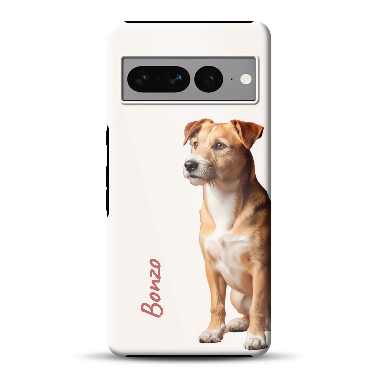 rv_0008_pixel7promockup.png