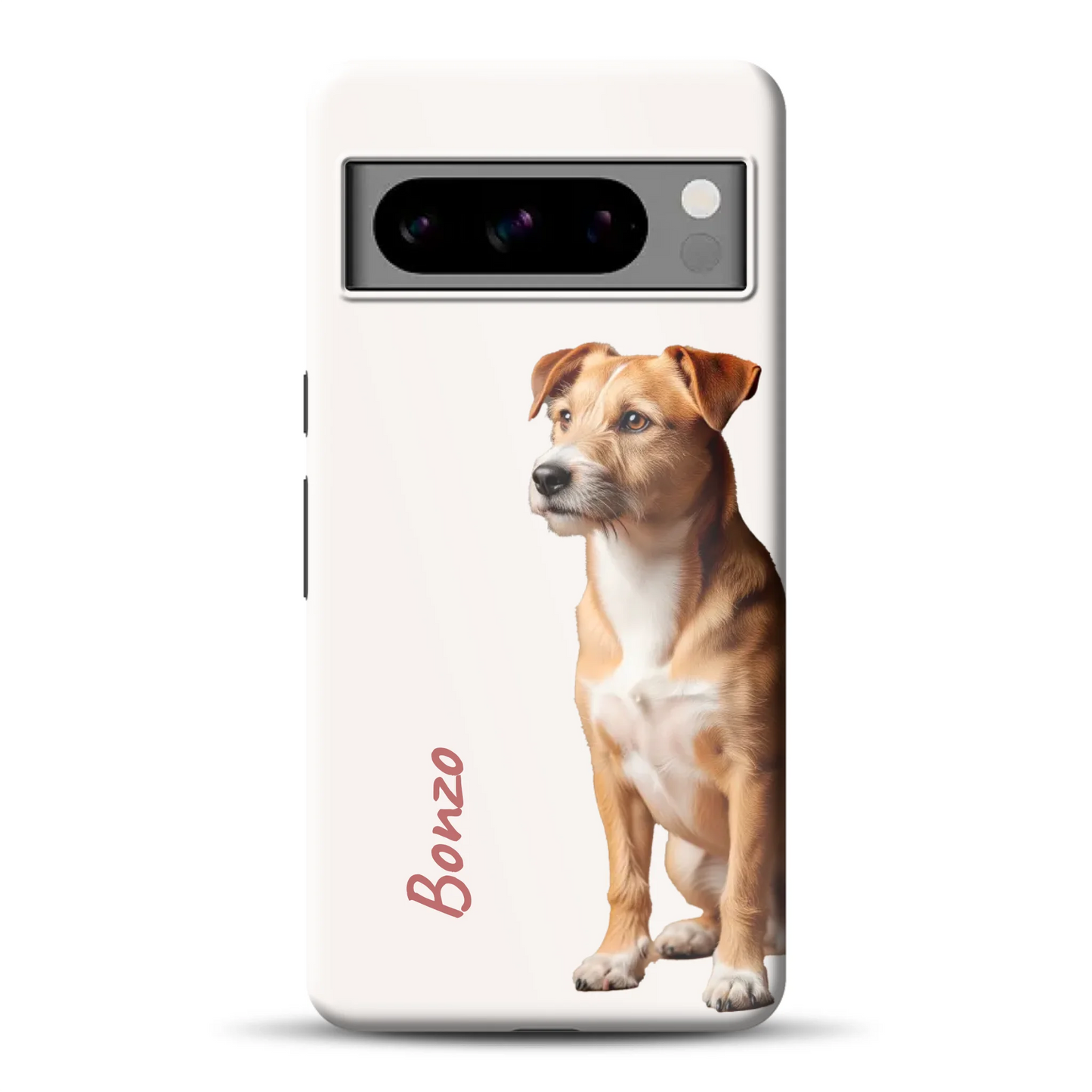 rv_0011_pixel8promockup.png