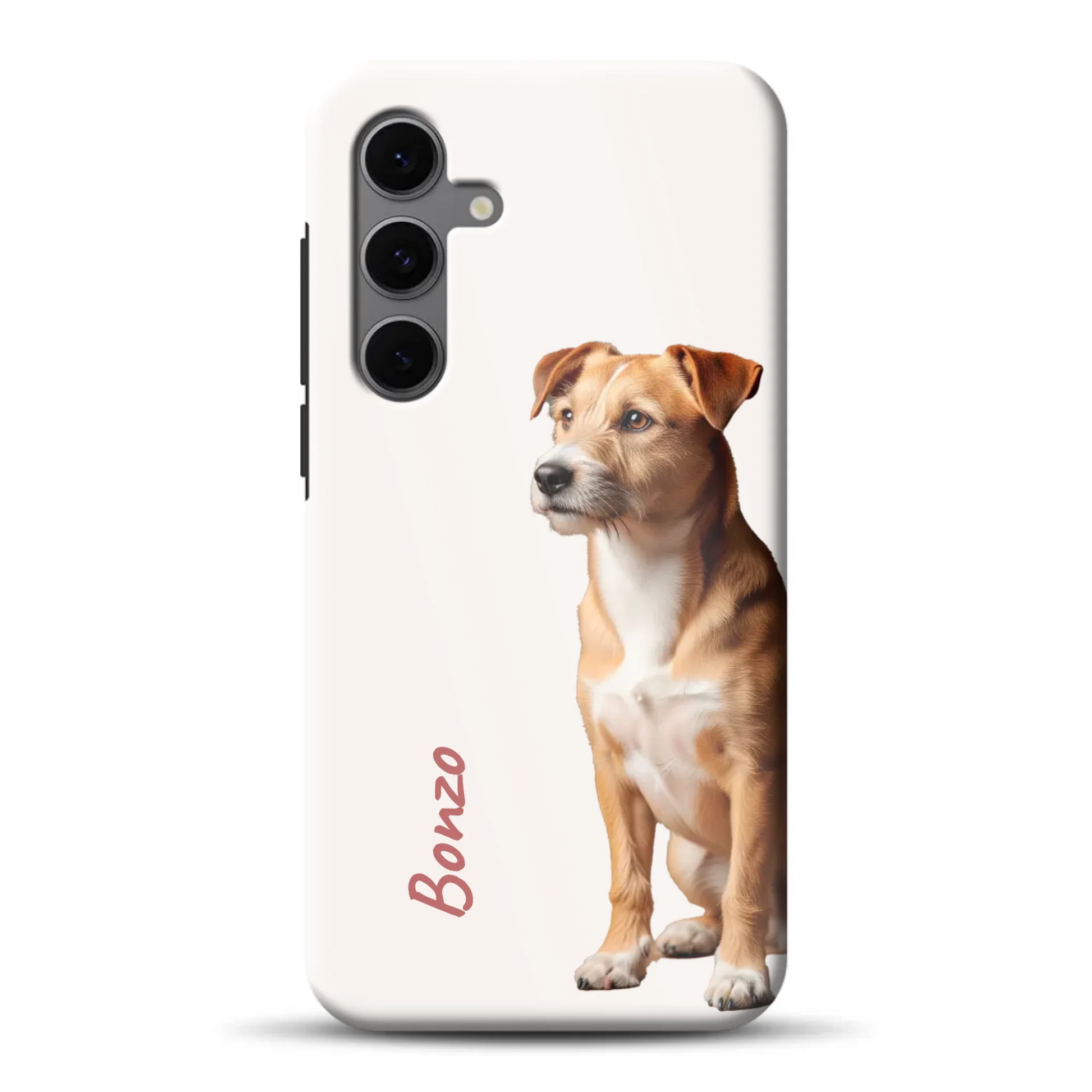rv_s24femockup.png