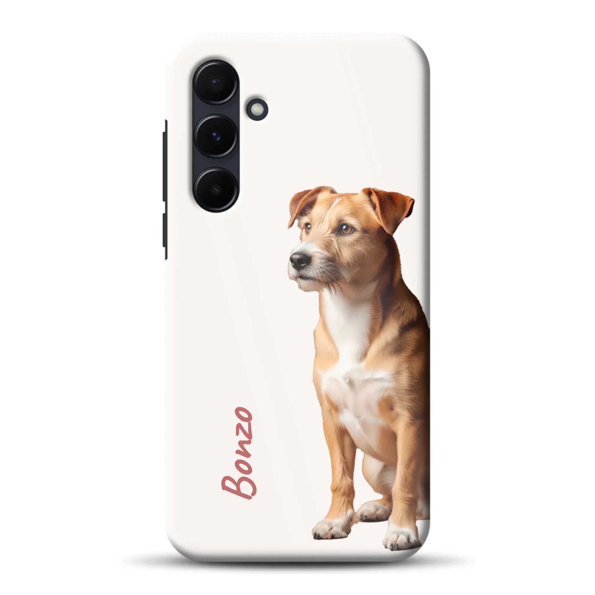 rv_a55mockup.png