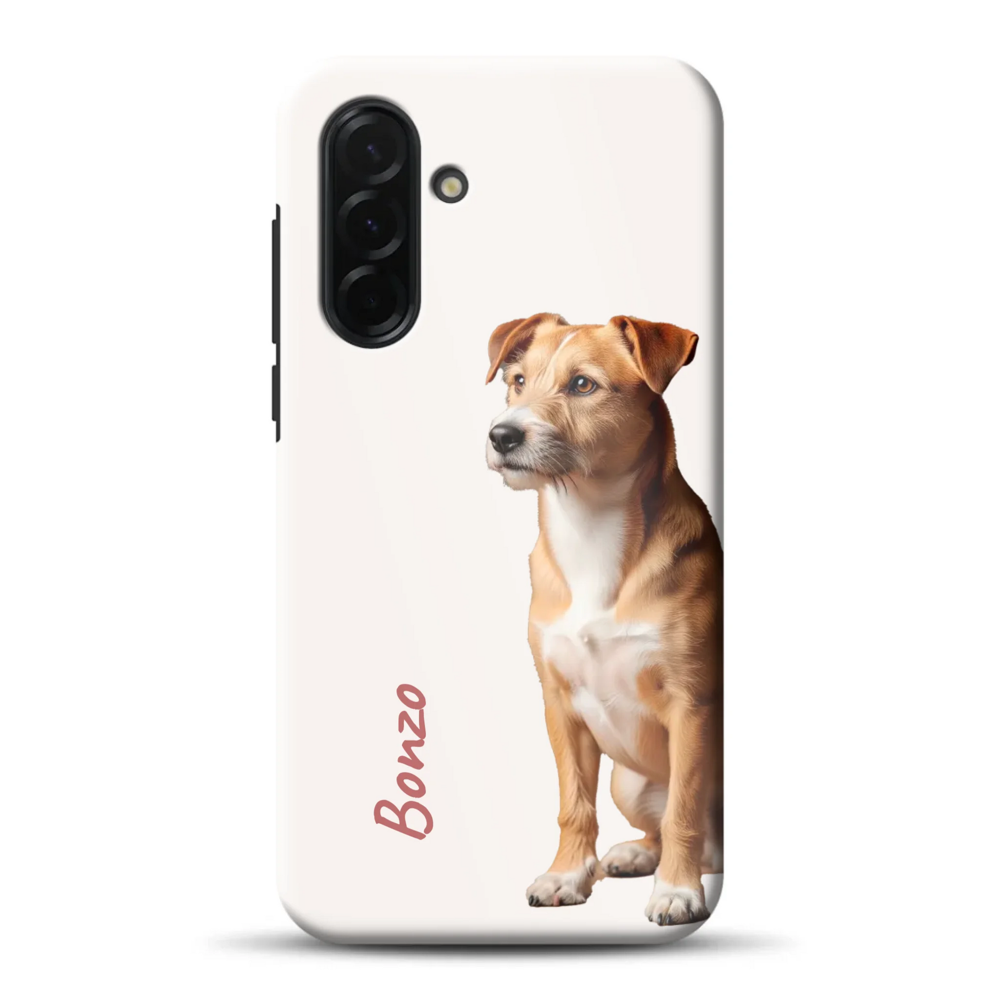 rv_a36a56mockup.png
