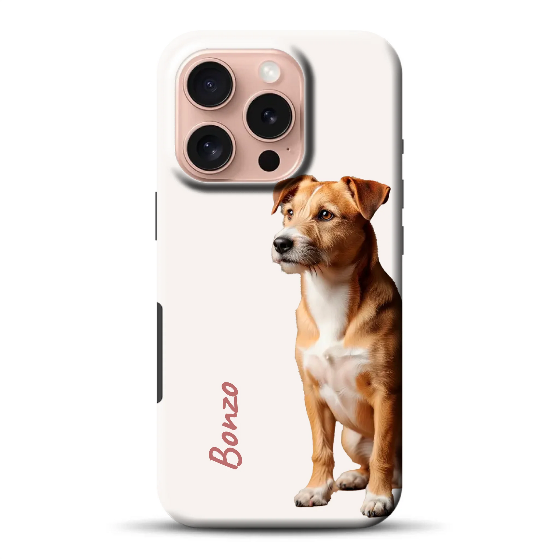 _0006_16-pro-mockup.png
