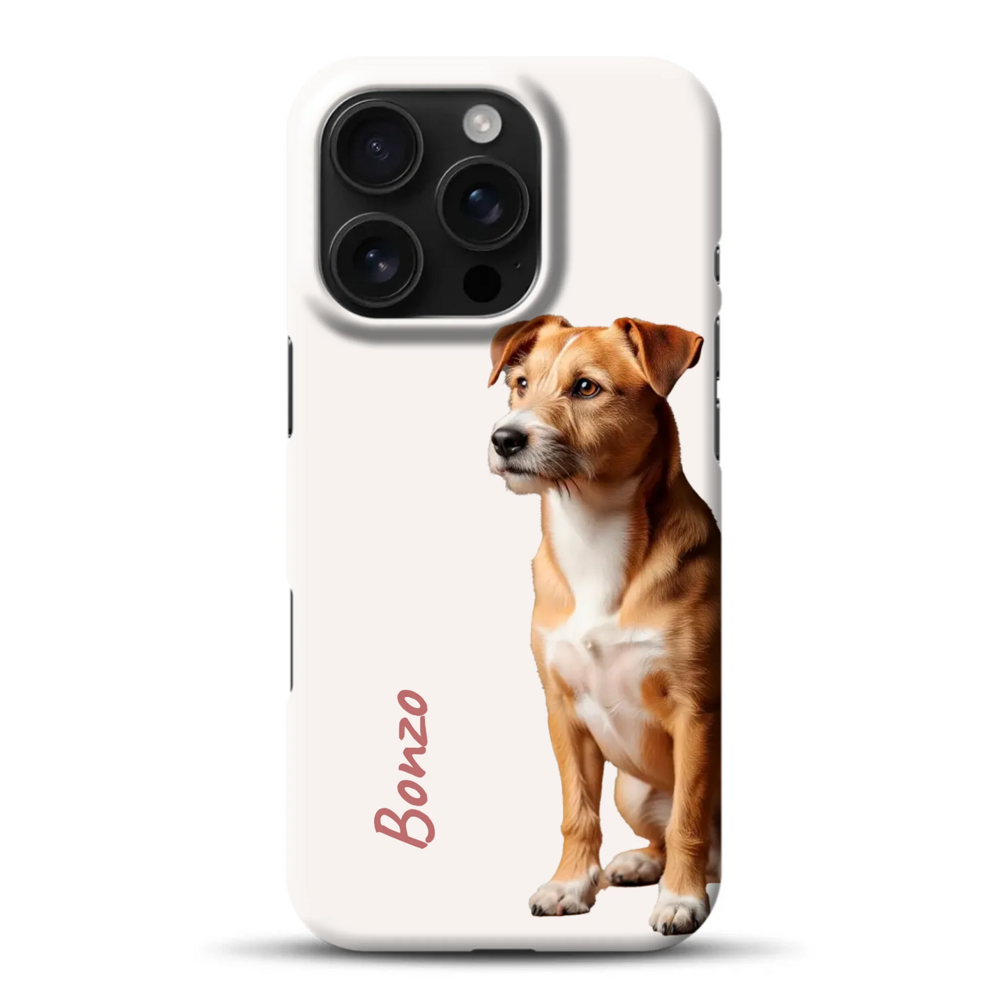 hardcase_0004_16-pro-mockup.png