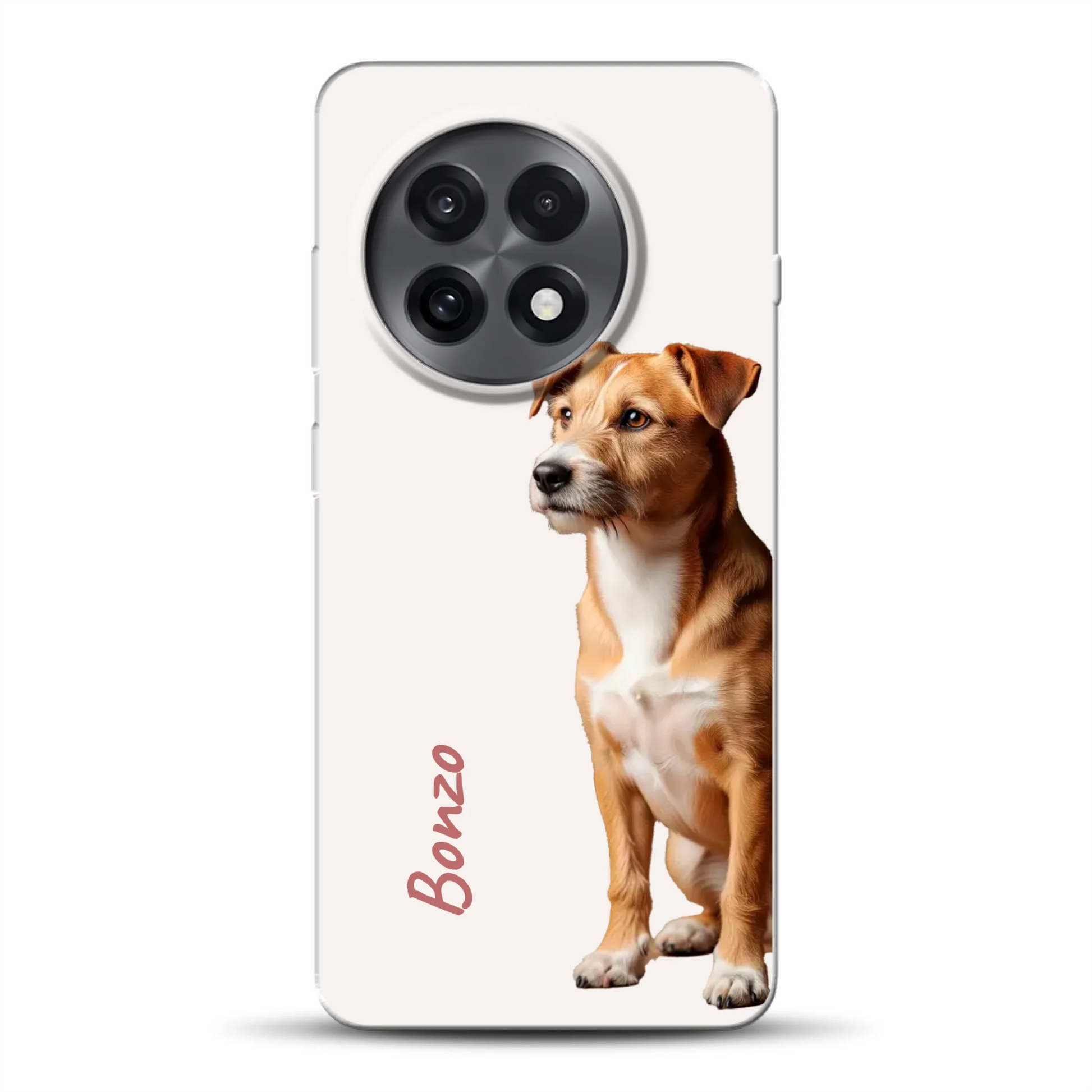 rv_0003_oneplus-13r-mockup.png