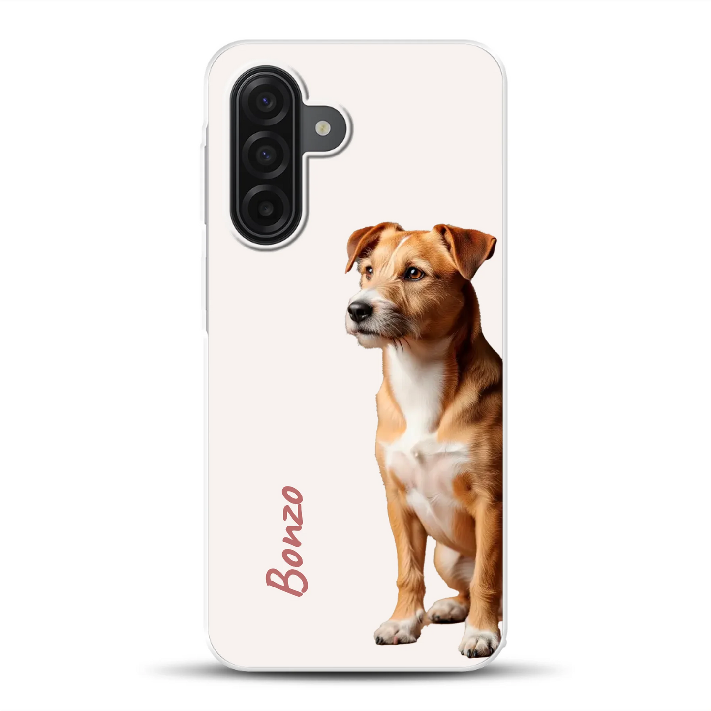 rv_0001_a17mockup.png