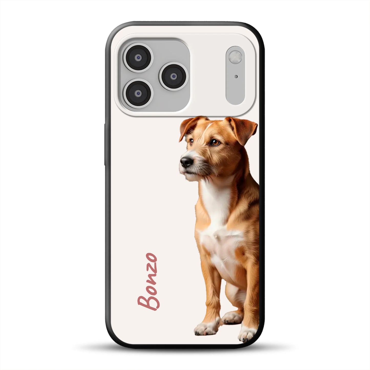 17-pro-max-b-mockup.png