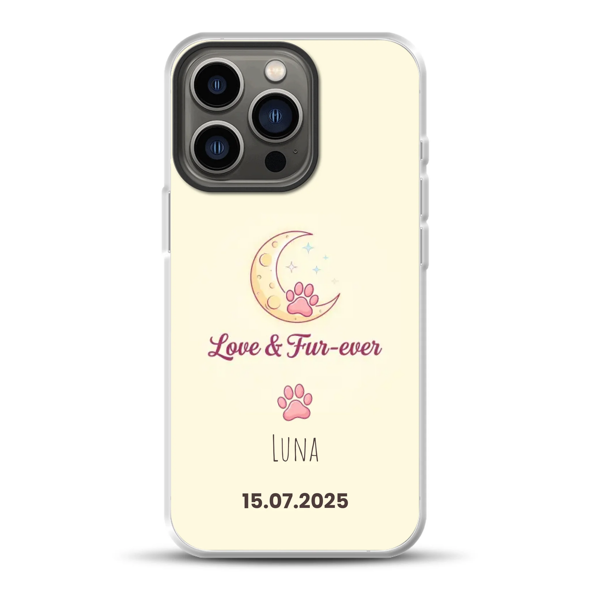 rv25_0005_hybrid-13-pro-mockup.png